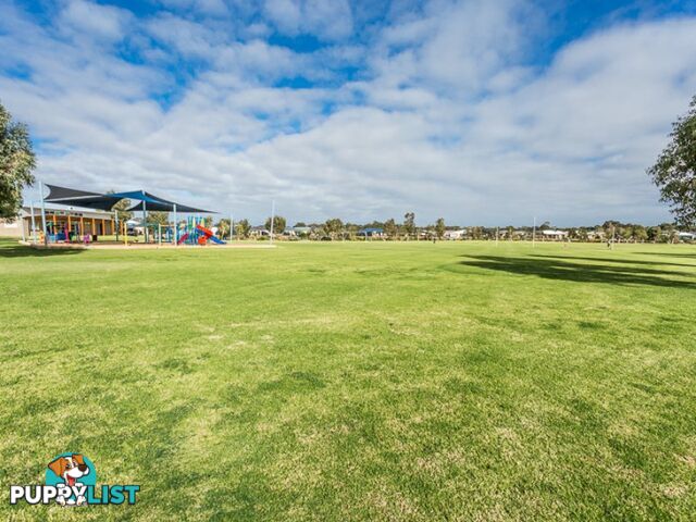 36 Plaistowe Boulevard BYFORD WA 6122