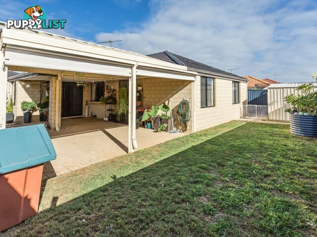 36 Plaistowe Boulevard BYFORD WA 6122