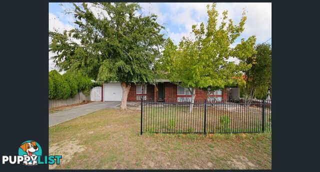 96 Third Avenue KELMSCOTT WA 6111