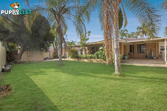 8 Dancy Way SEVILLE GROVE WA 6112