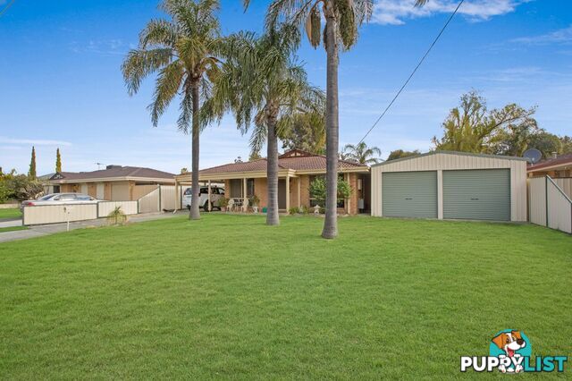 8 Dancy Way SEVILLE GROVE WA 6112