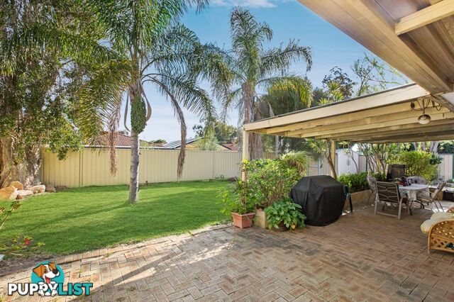 8 Dancy Way SEVILLE GROVE WA 6112