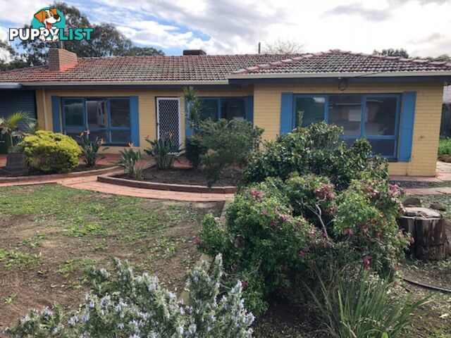 23 Townsend Street ARMADALE WA 6112