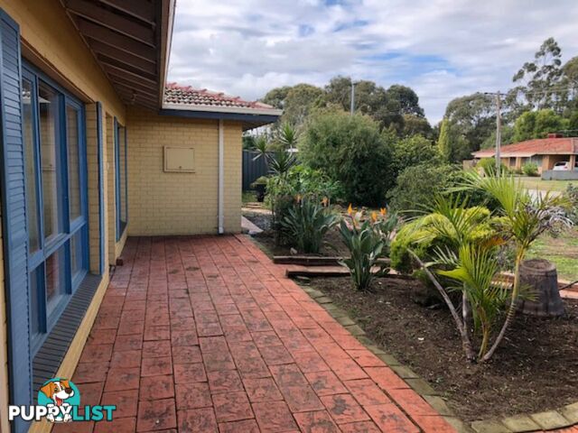 23 Townsend Street ARMADALE WA 6112