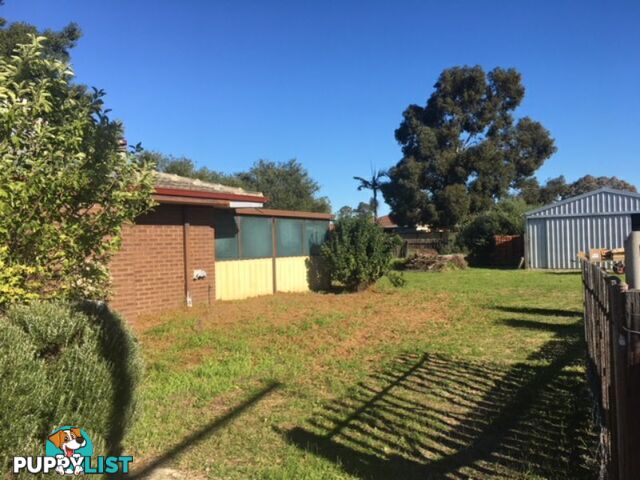 8 Cull Court ARMADALE WA 6112