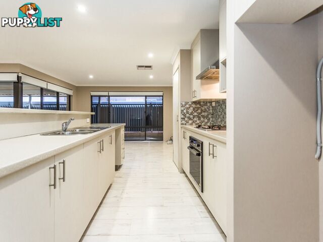 19 Quinine Crescent BYFORD WA 6122