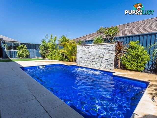 19 Quinine Crescent BYFORD WA 6122