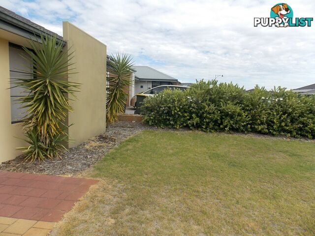 12 Gingerale Circle BYFORD WA 6122