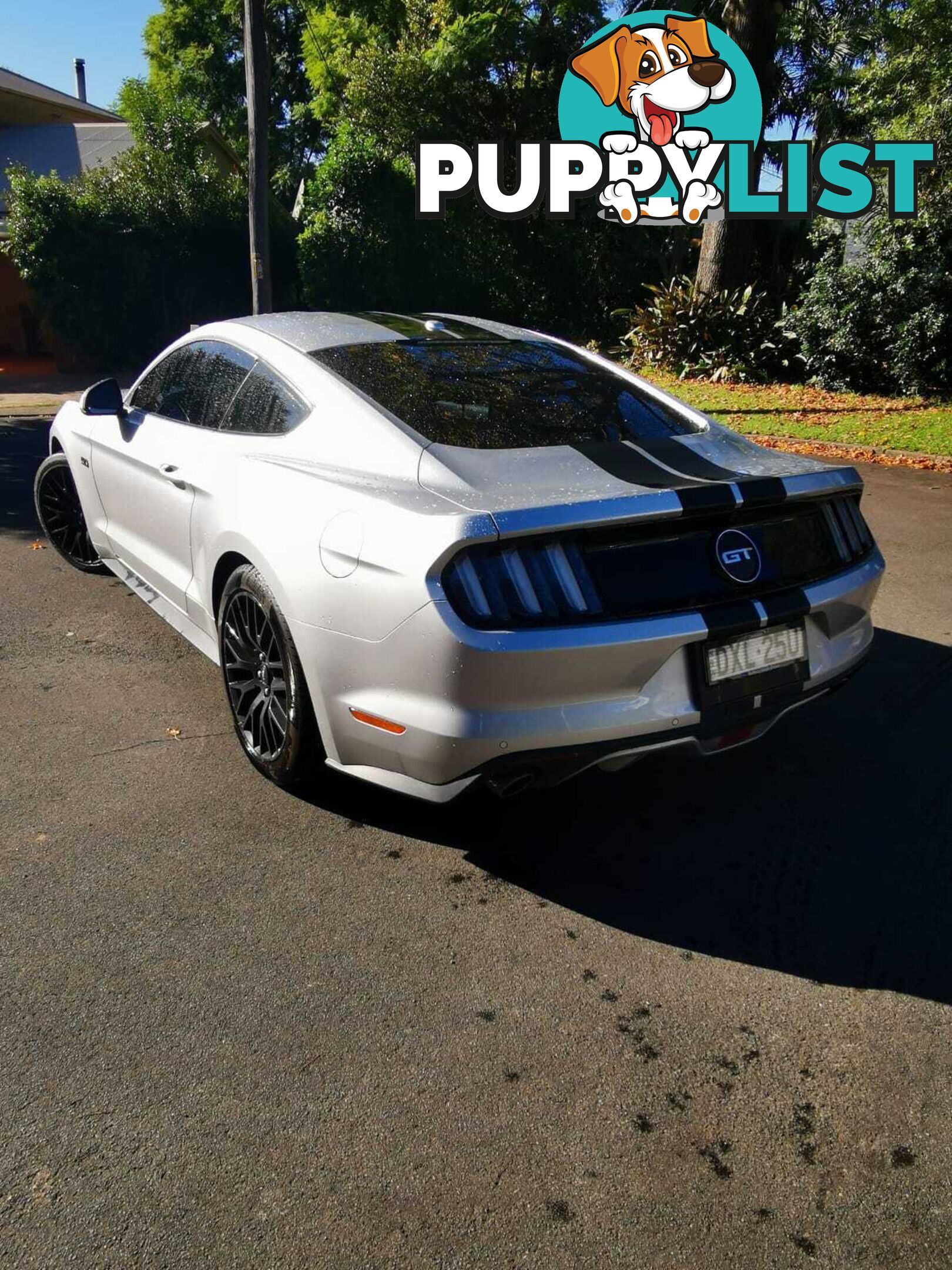 2017 Ford Mustang FMMY17 FASTBACKGT5,0V8 Coupe Automatic