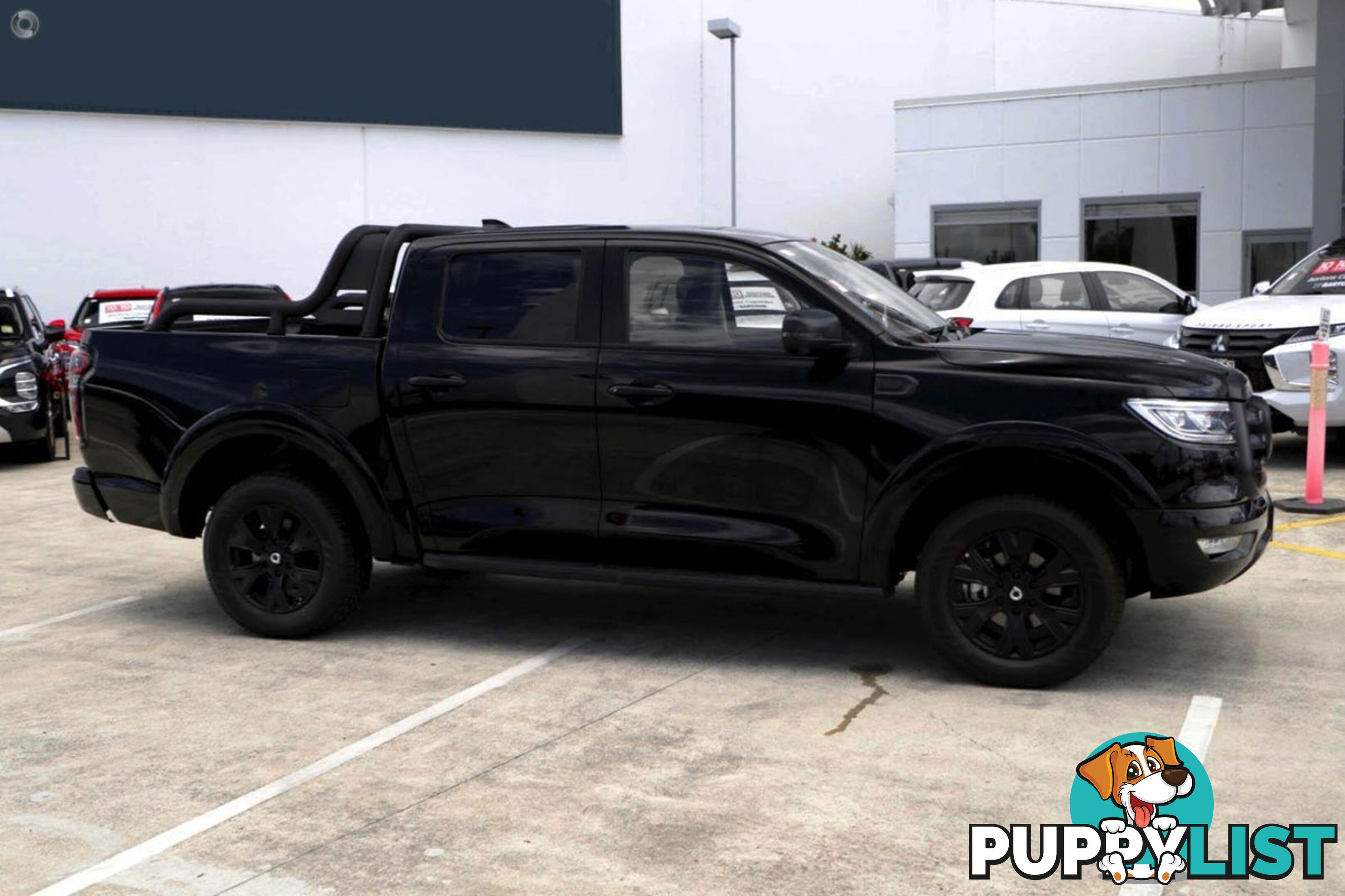 2024 GWM UTE CANNON-VANTA NPW-4X4 DUAL CAB UTILITY