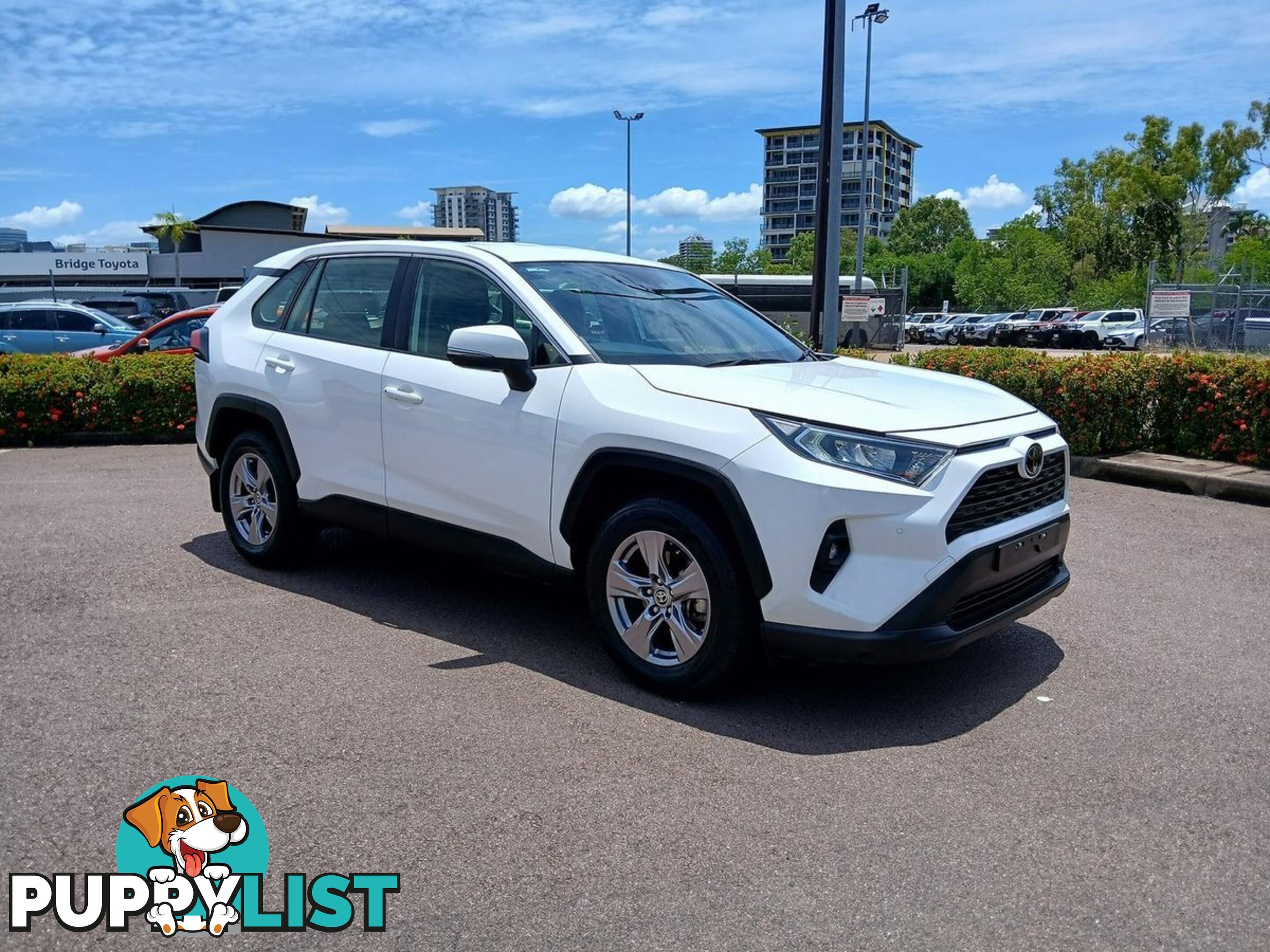 2022 TOYOTA RAV4 GX MXAA52R SUV