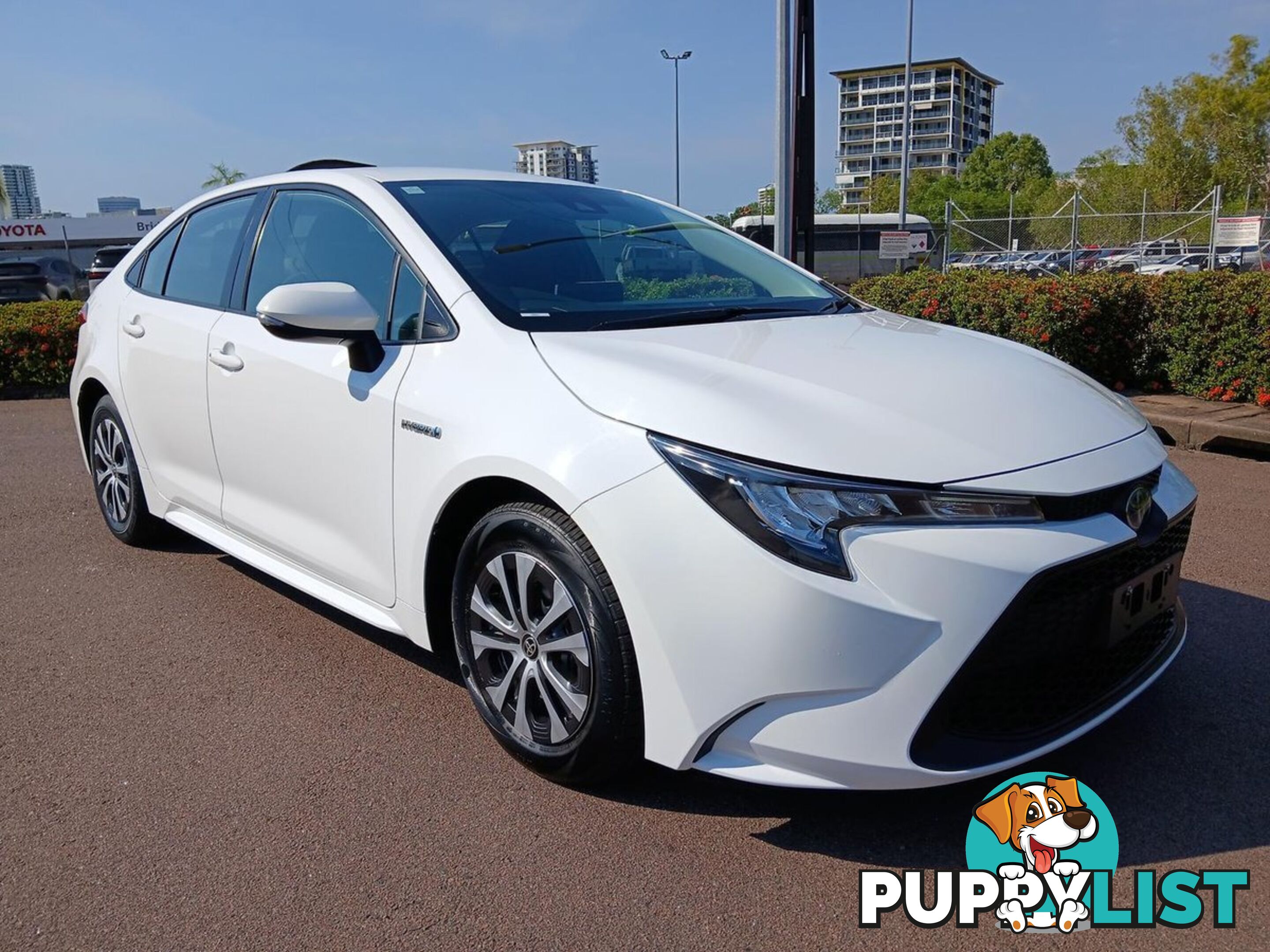 2021 TOYOTA COROLLA ASCENT-SPORT-HYBRID ZWE211R SEDAN