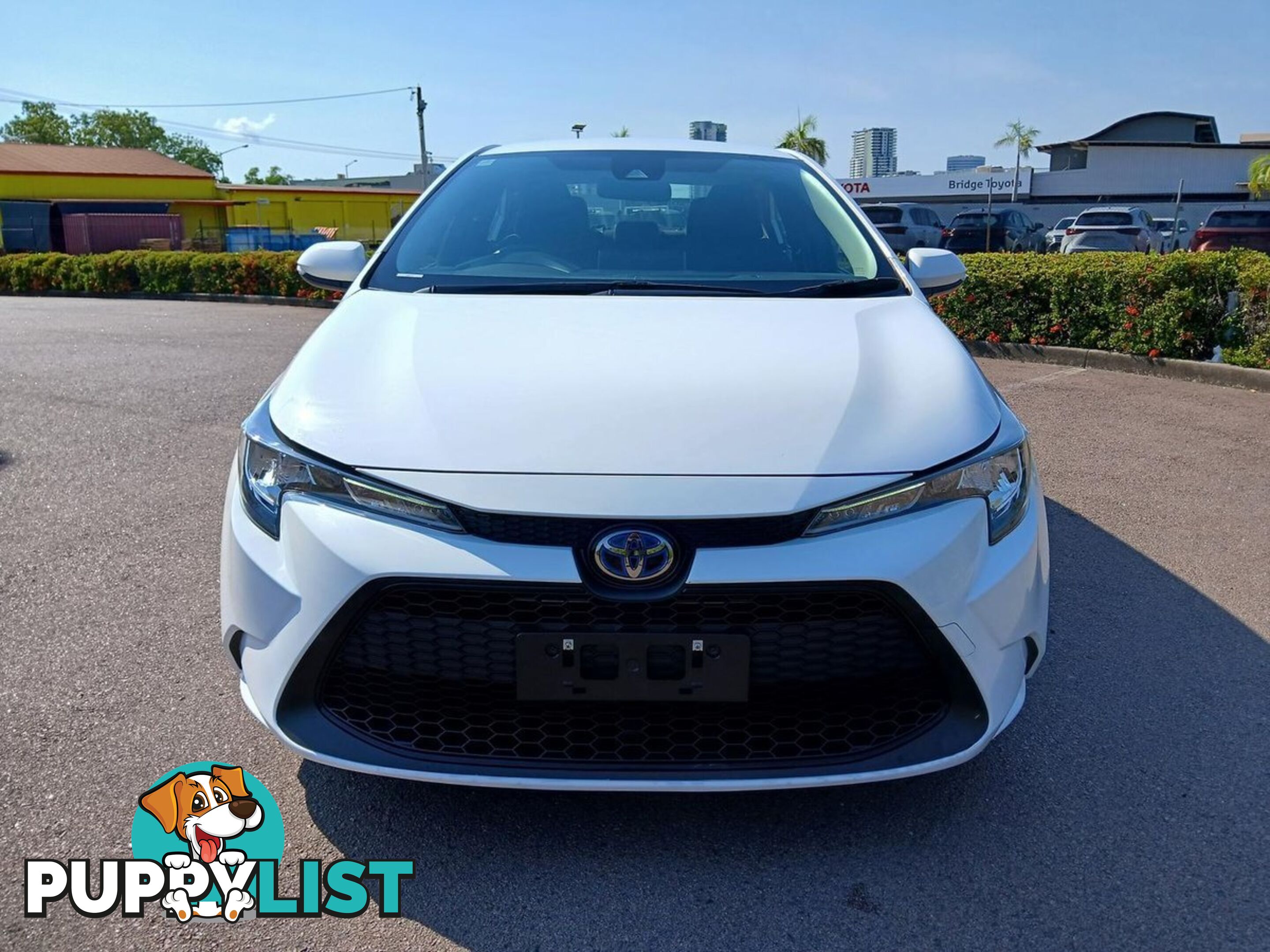 2021 TOYOTA COROLLA ASCENT-SPORT-HYBRID ZWE211R SEDAN