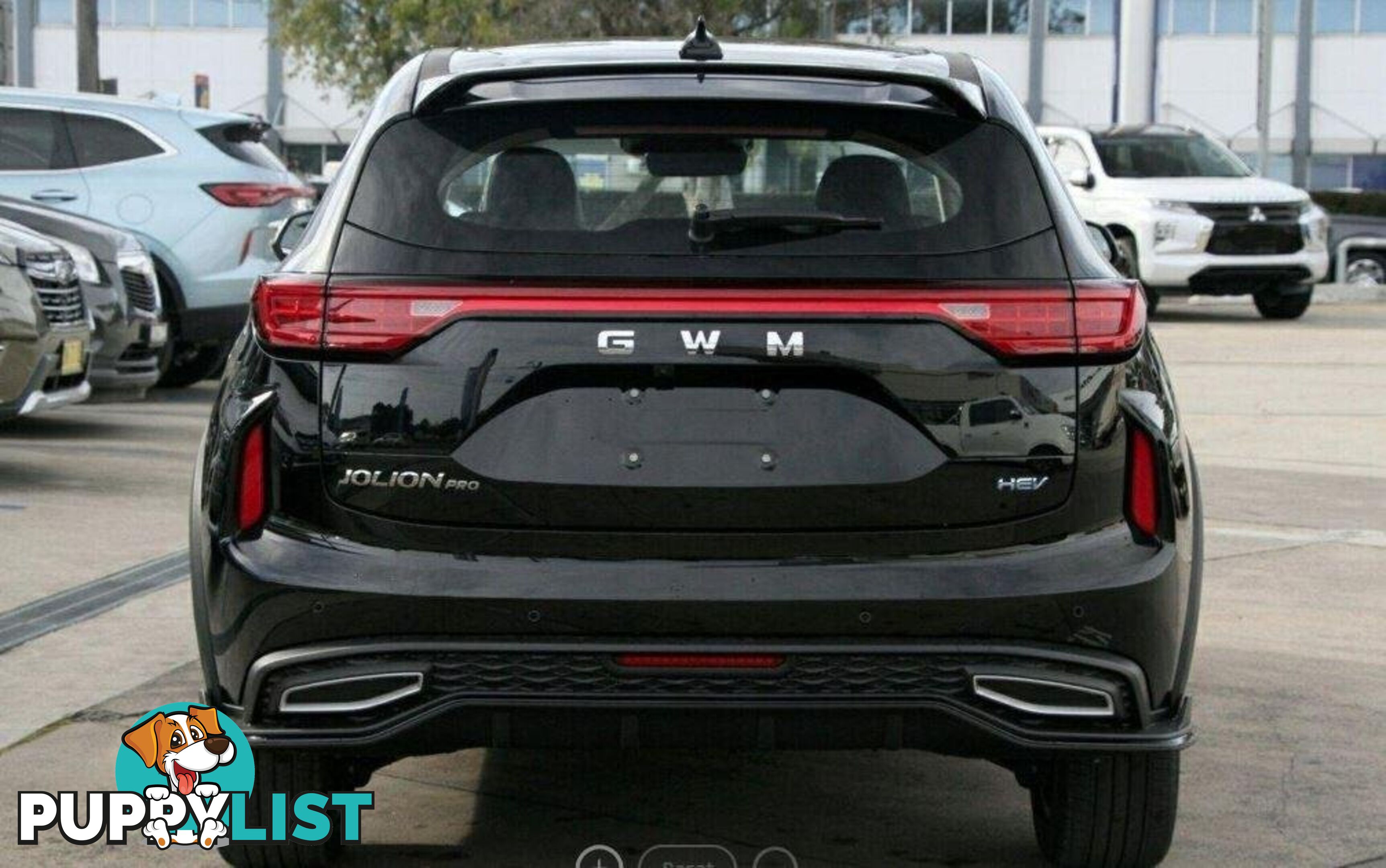 2024 GWM HAVAL-JOLION LUX-HYBRID A02 SUV