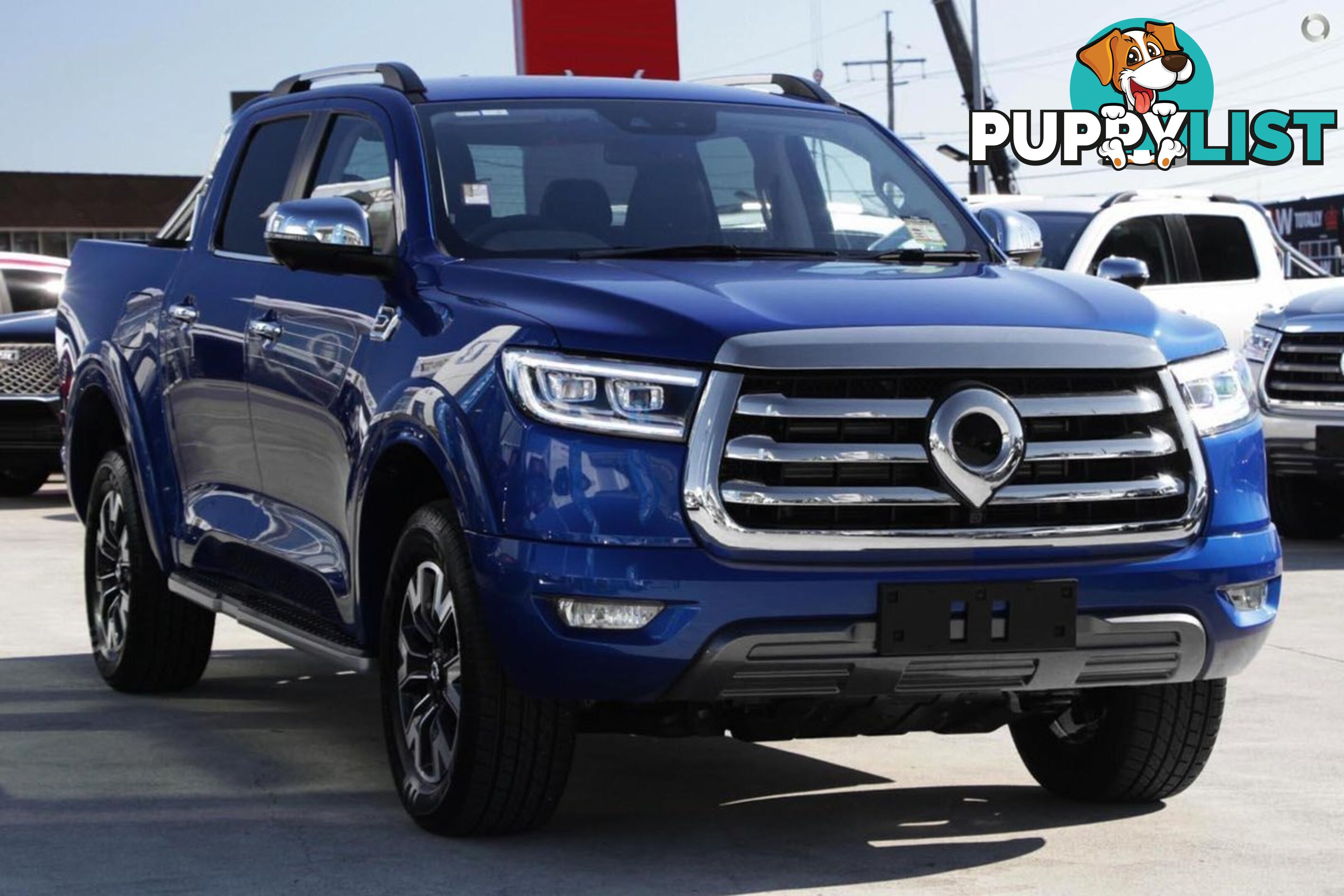 2025 GWM CANNON LUX NPW-4X4 DUAL CAB UTILITY