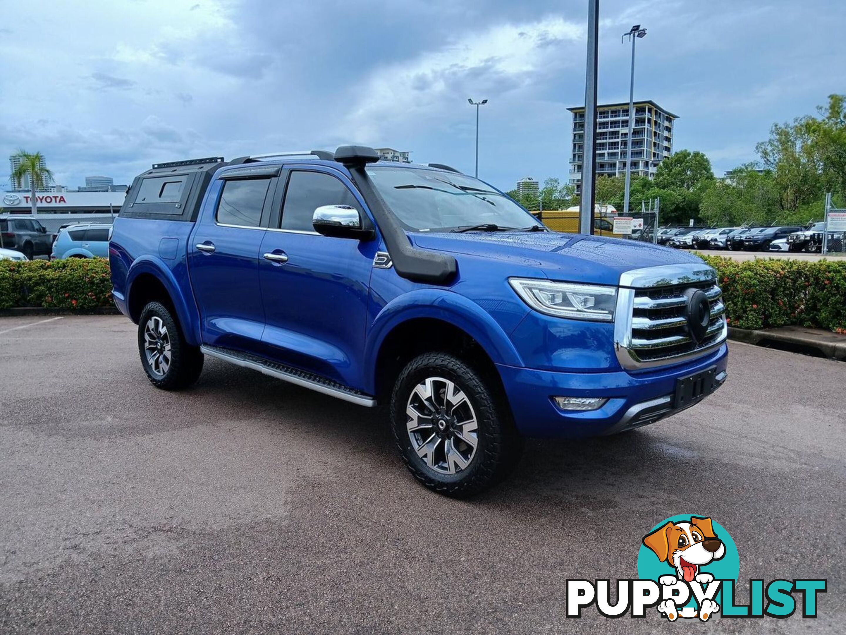 2022 GWM UTE CANNON-X NPW-4X4 DUAL CAB UTILITY