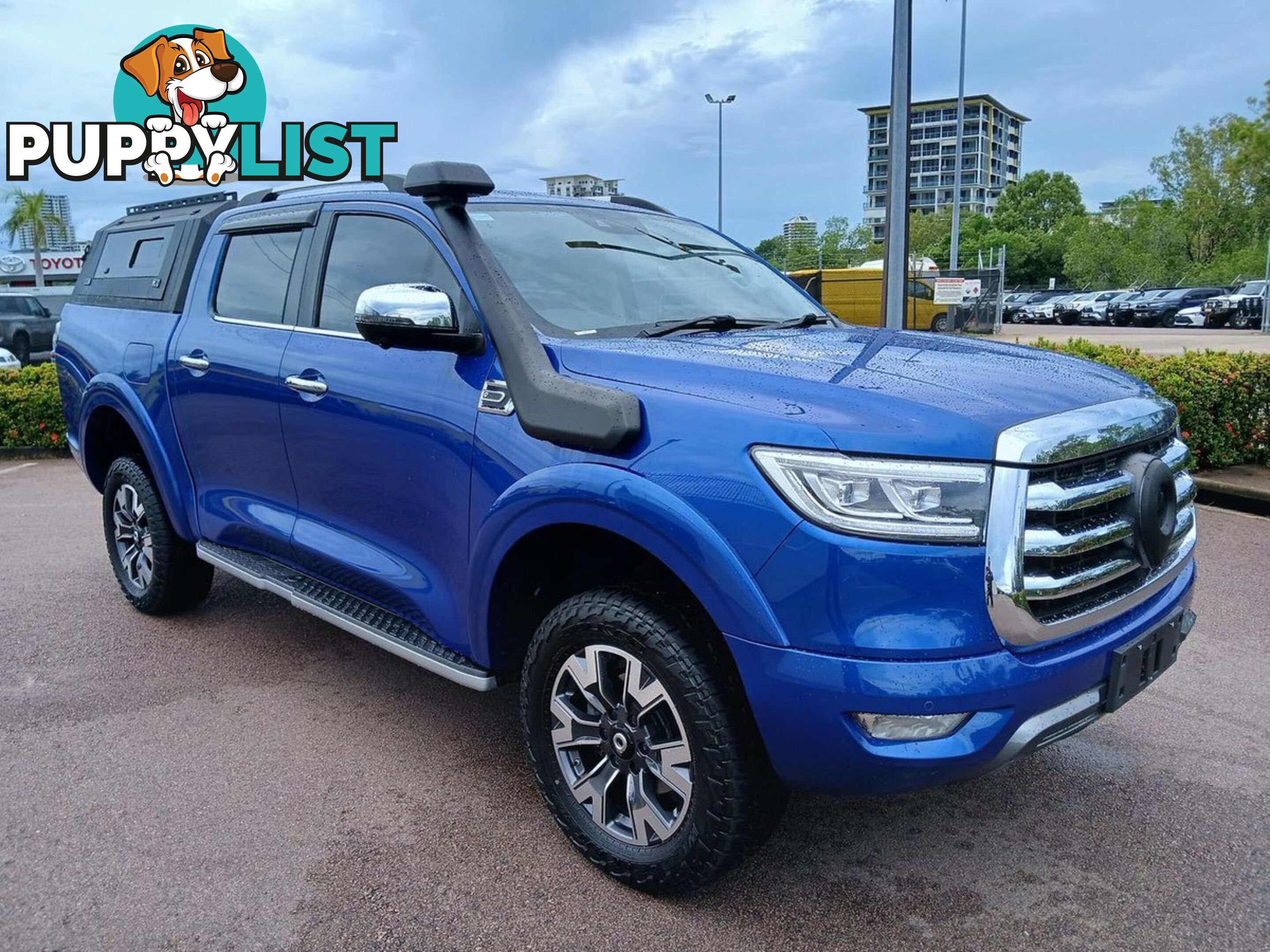 2022 GWM UTE CANNON-X NPW-4X4 DUAL CAB UTILITY