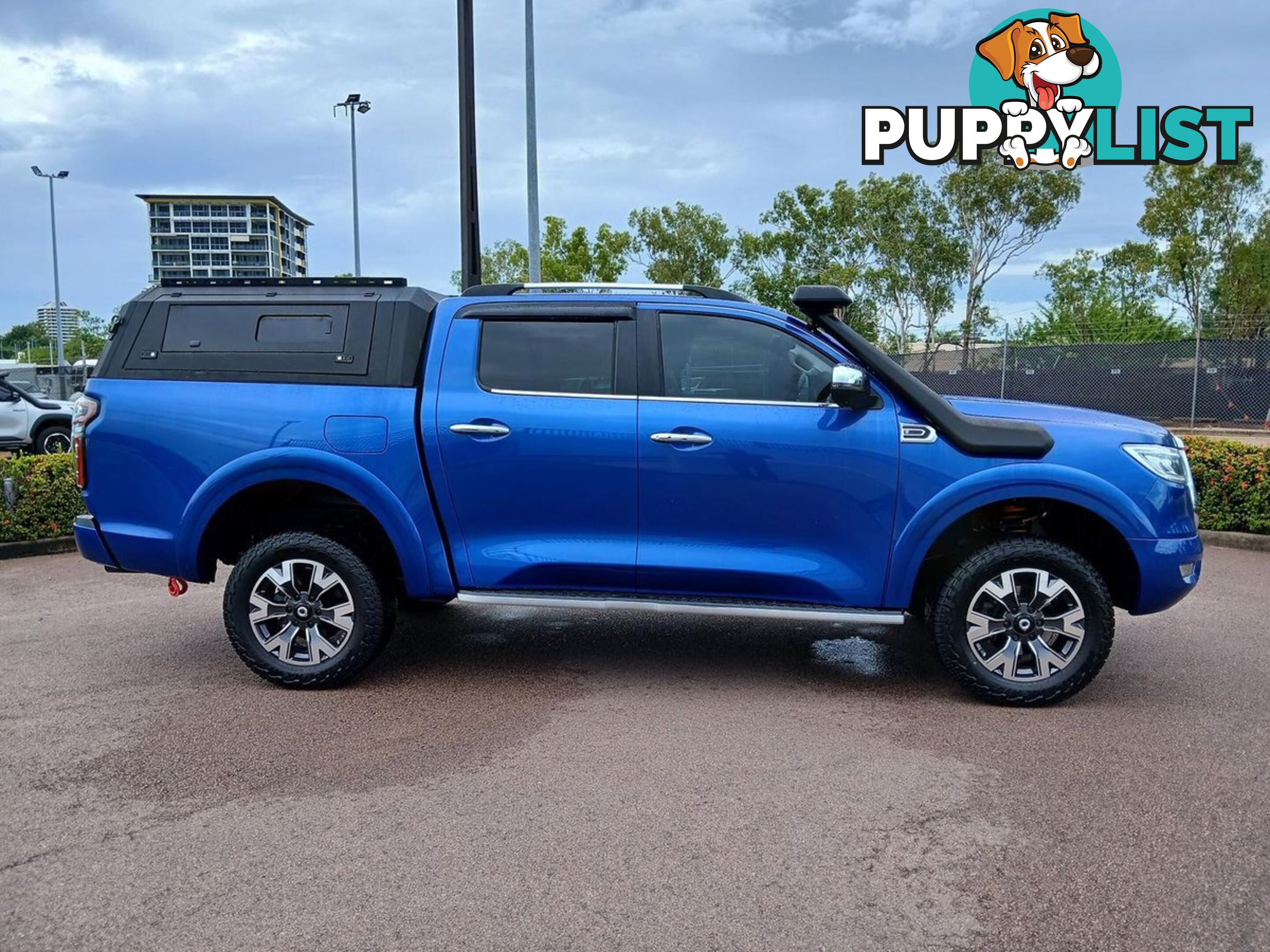 2022 GWM UTE CANNON-X NPW-4X4 DUAL CAB UTILITY