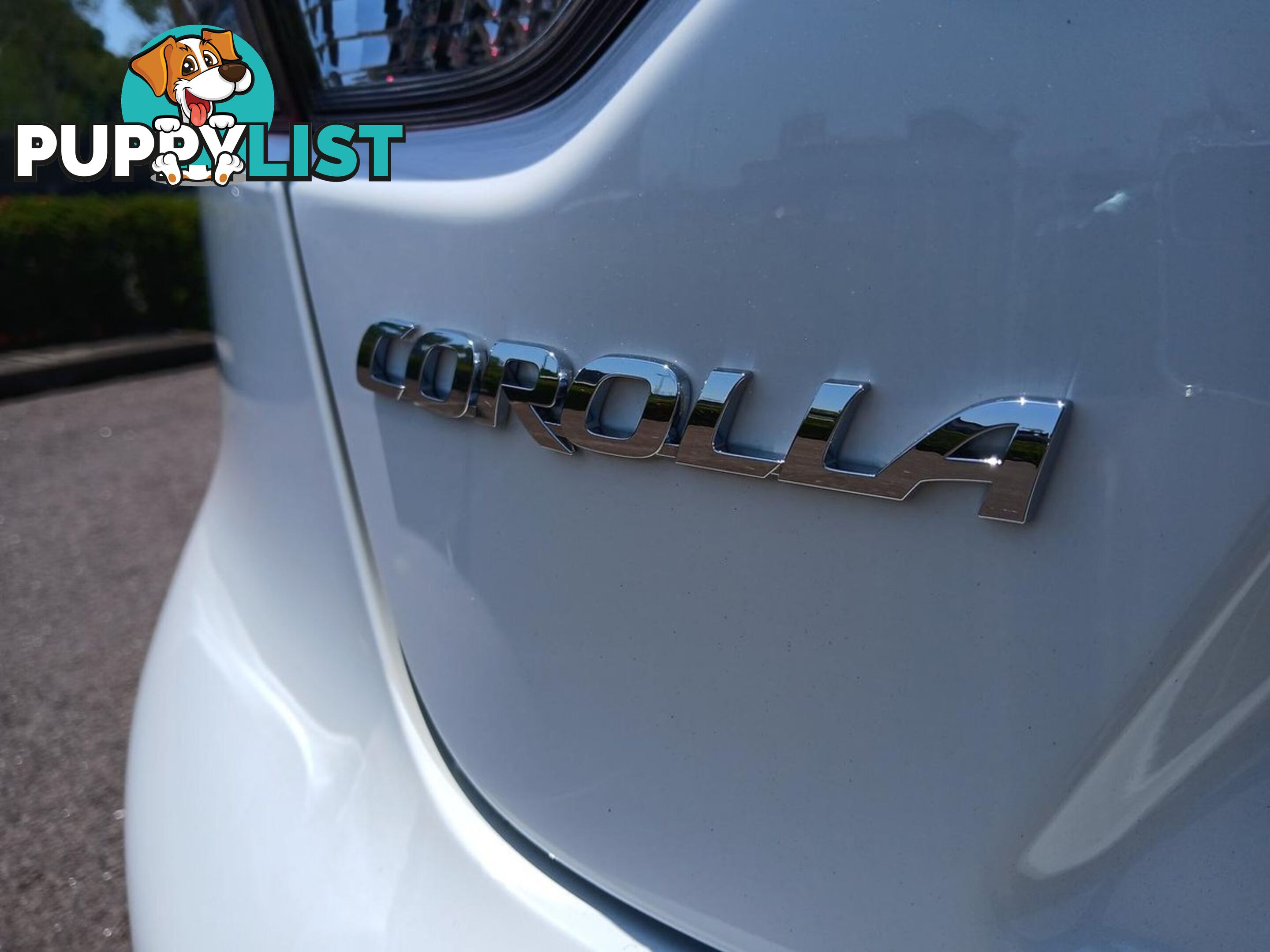 2023 TOYOTA COROLLA ASCENT-SPORT-HYBRID ZWE219R SEDAN