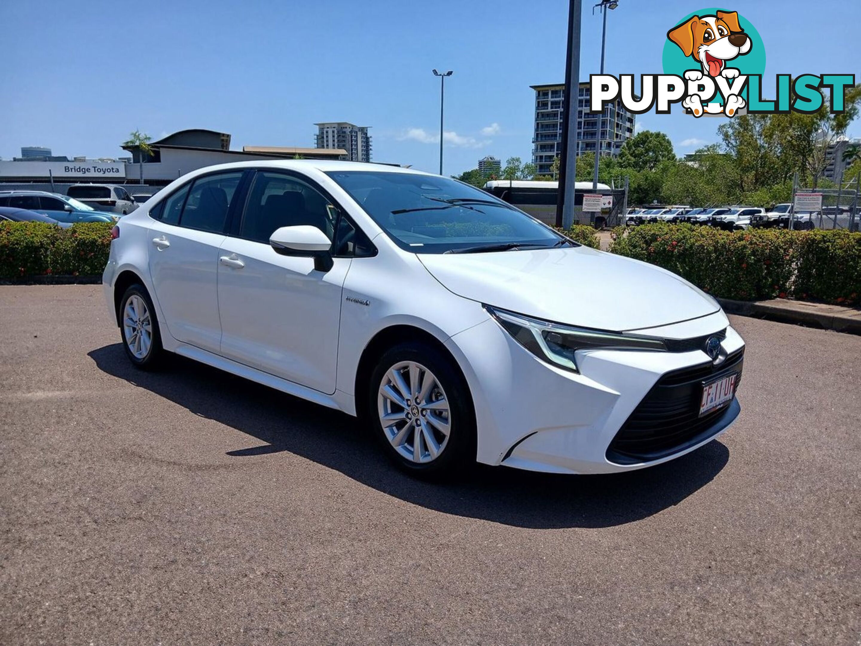 2023 TOYOTA COROLLA ASCENT-SPORT-HYBRID ZWE219R SEDAN