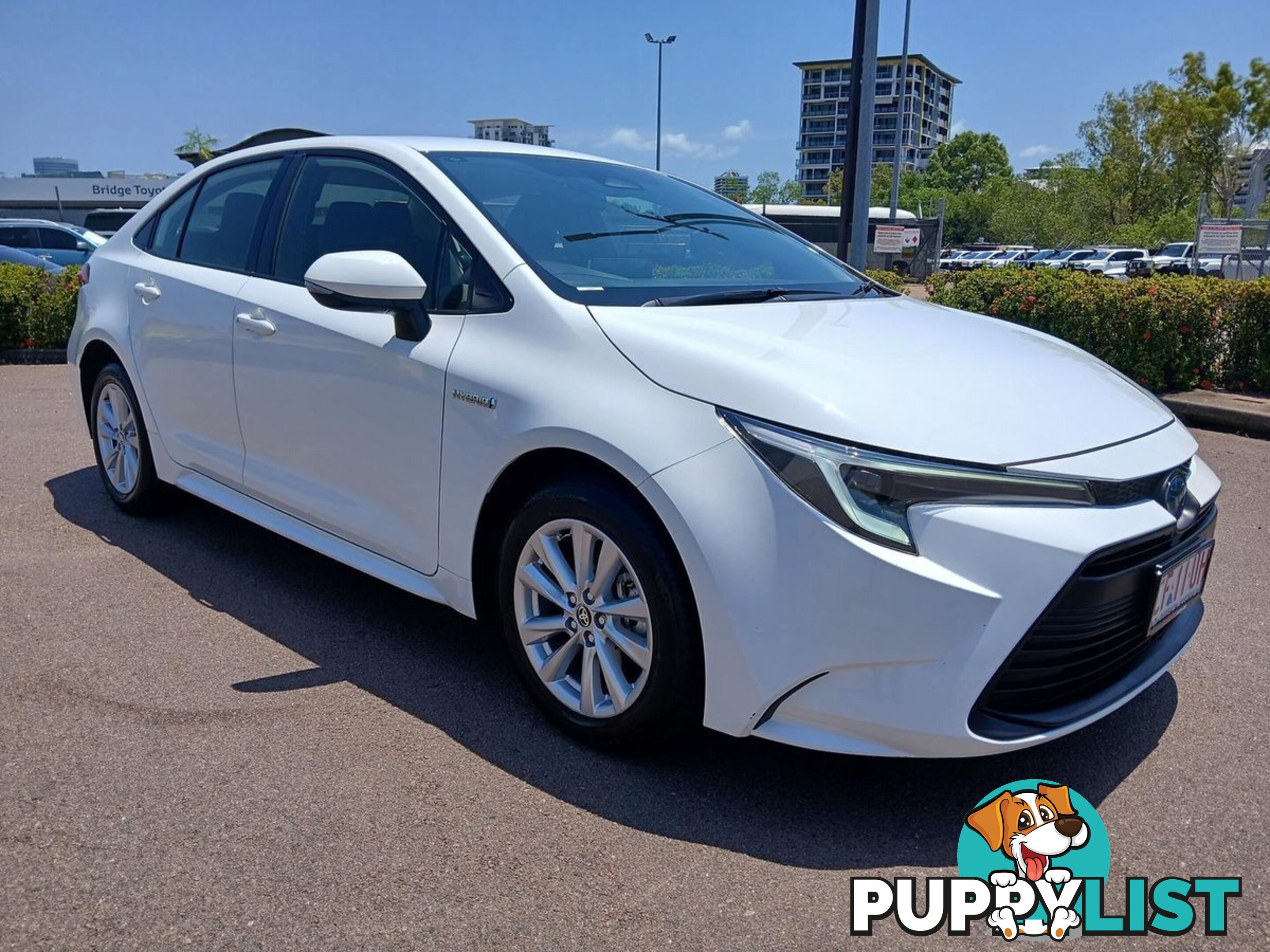 2023 TOYOTA COROLLA ASCENT-SPORT-HYBRID ZWE219R SEDAN