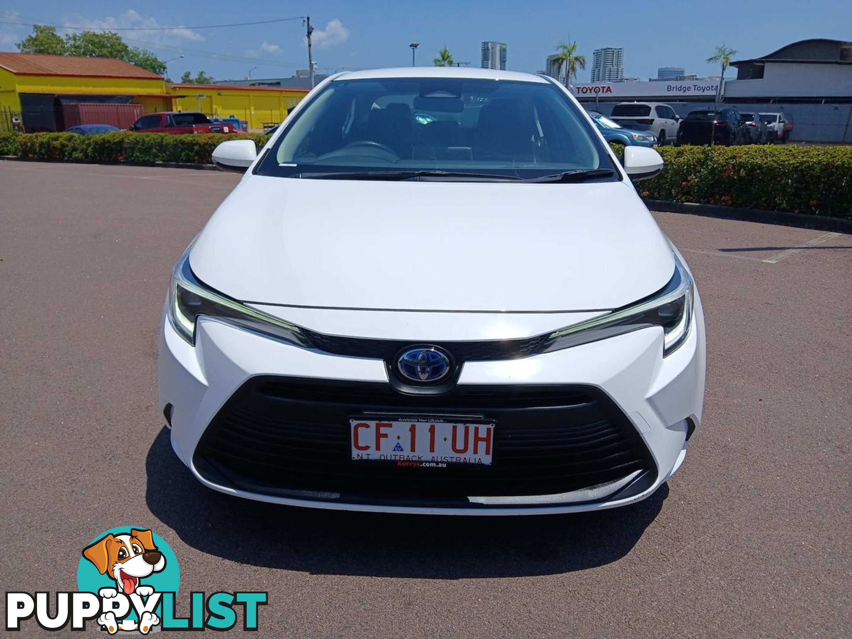 2023 TOYOTA COROLLA ASCENT-SPORT-HYBRID ZWE219R SEDAN