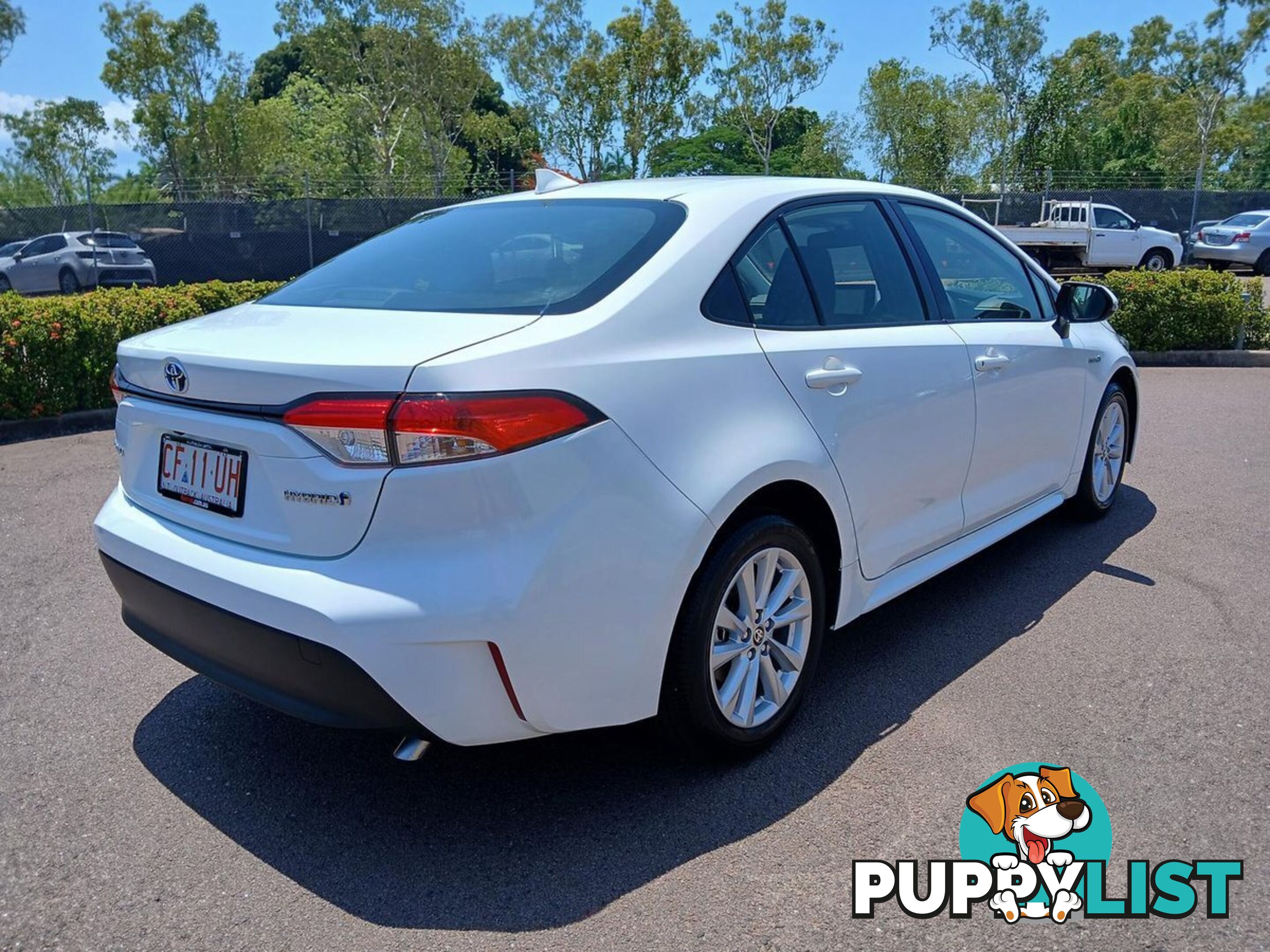 2023 TOYOTA COROLLA ASCENT-SPORT-HYBRID ZWE219R SEDAN