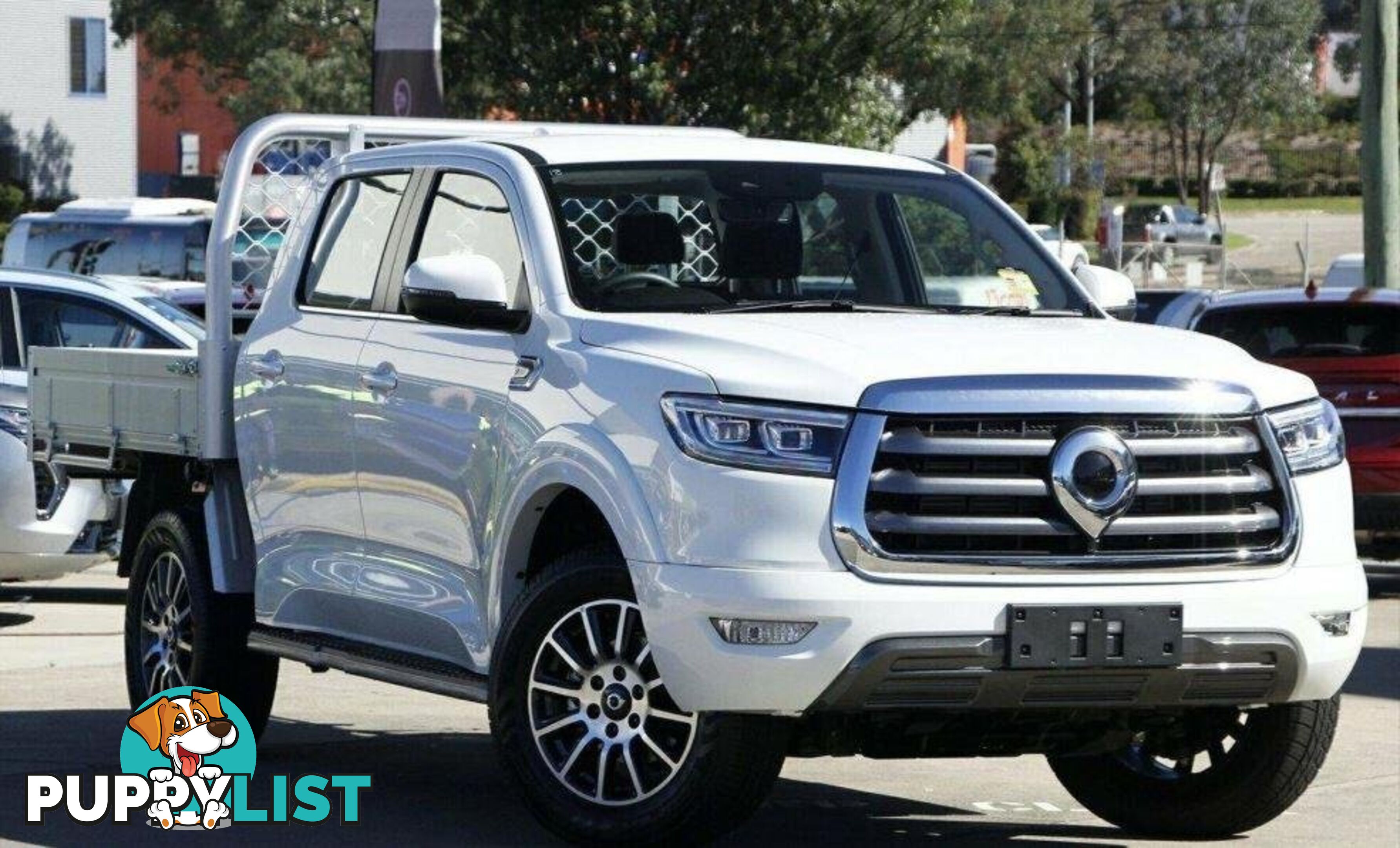 2025 GWM UTE CANNON-PREMIUM-CC NPW-4X4 DUAL CAB TRAYTOP