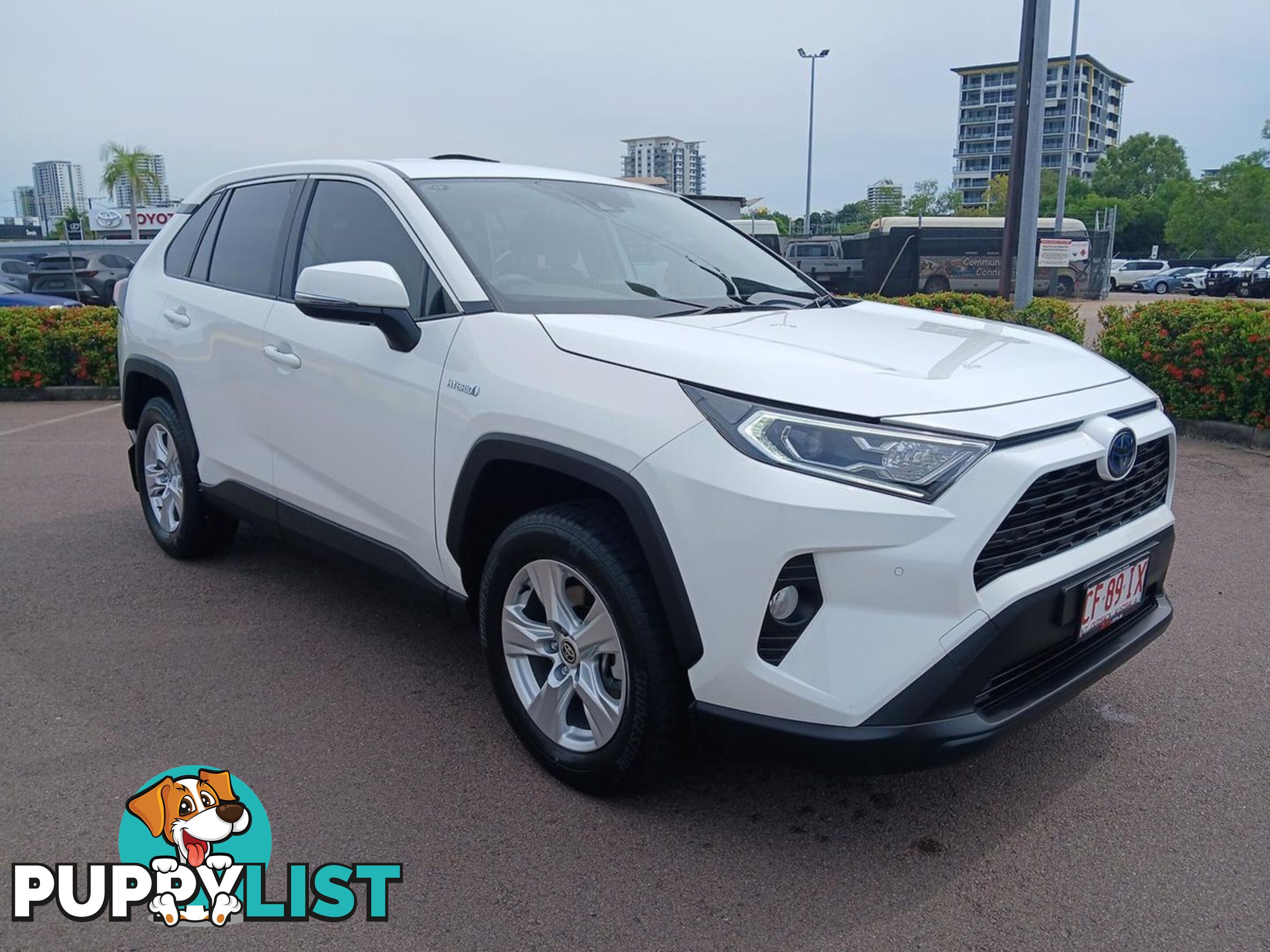 2019 TOYOTA RAV4 GX AXAH52R SUV