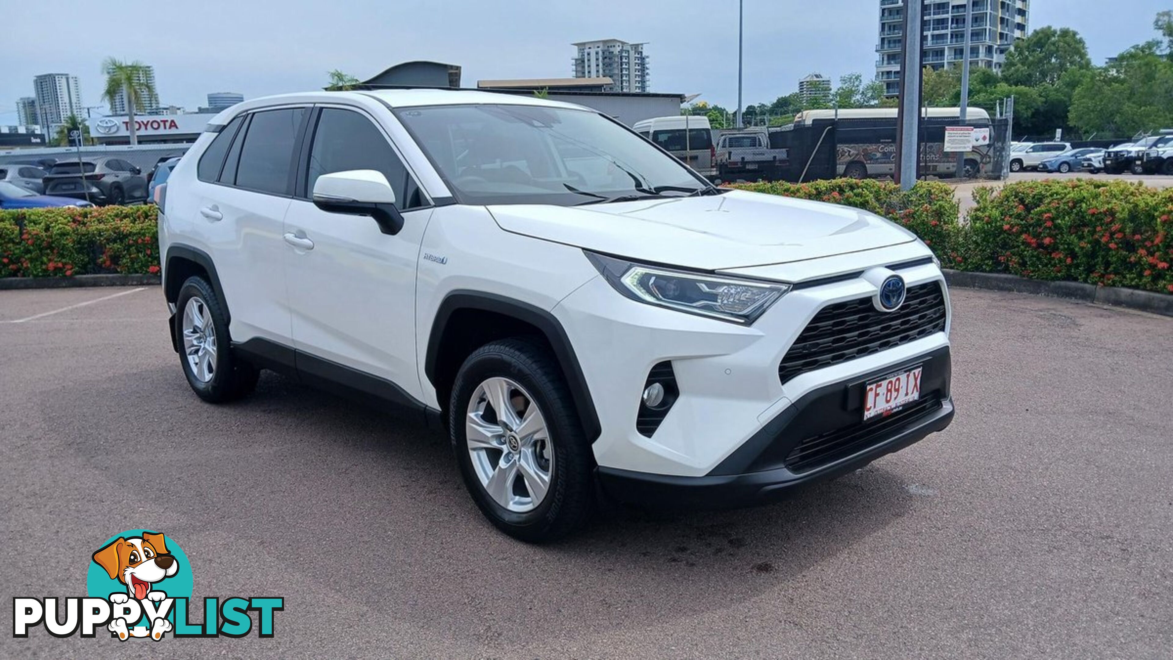 2019 TOYOTA RAV4 GX AXAH52R SUV