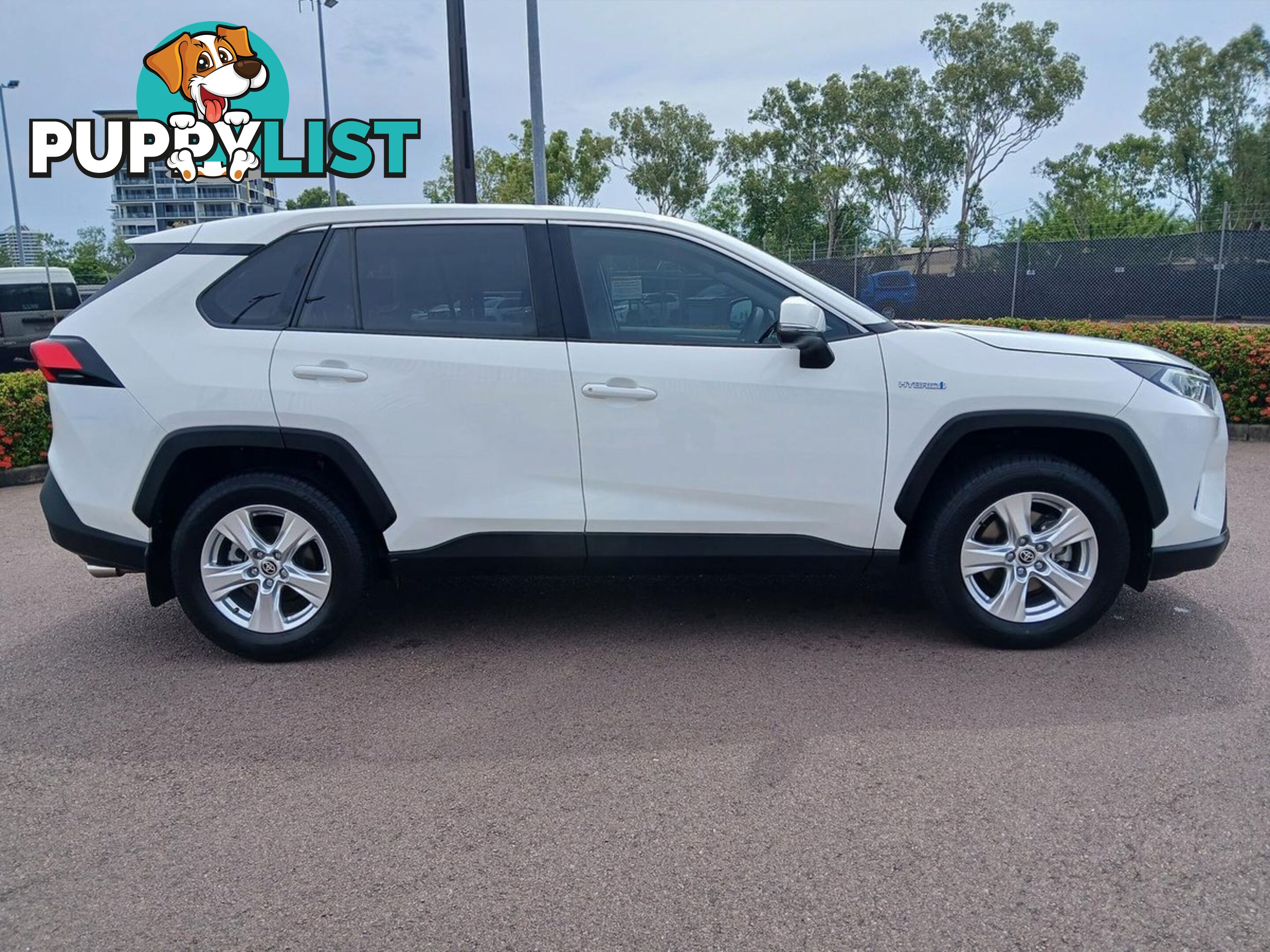 2019 TOYOTA RAV4 GX AXAH52R SUV