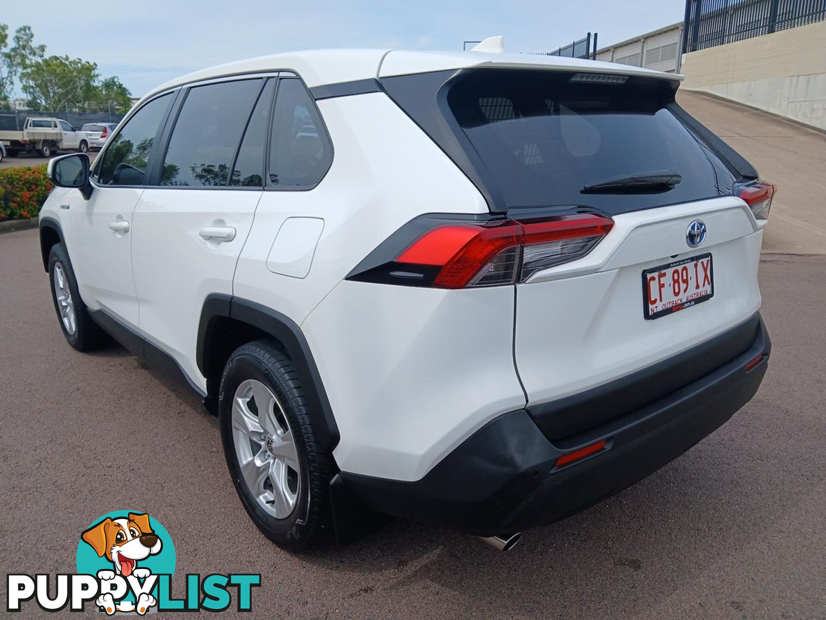 2019 TOYOTA RAV4 GX AXAH52R SUV