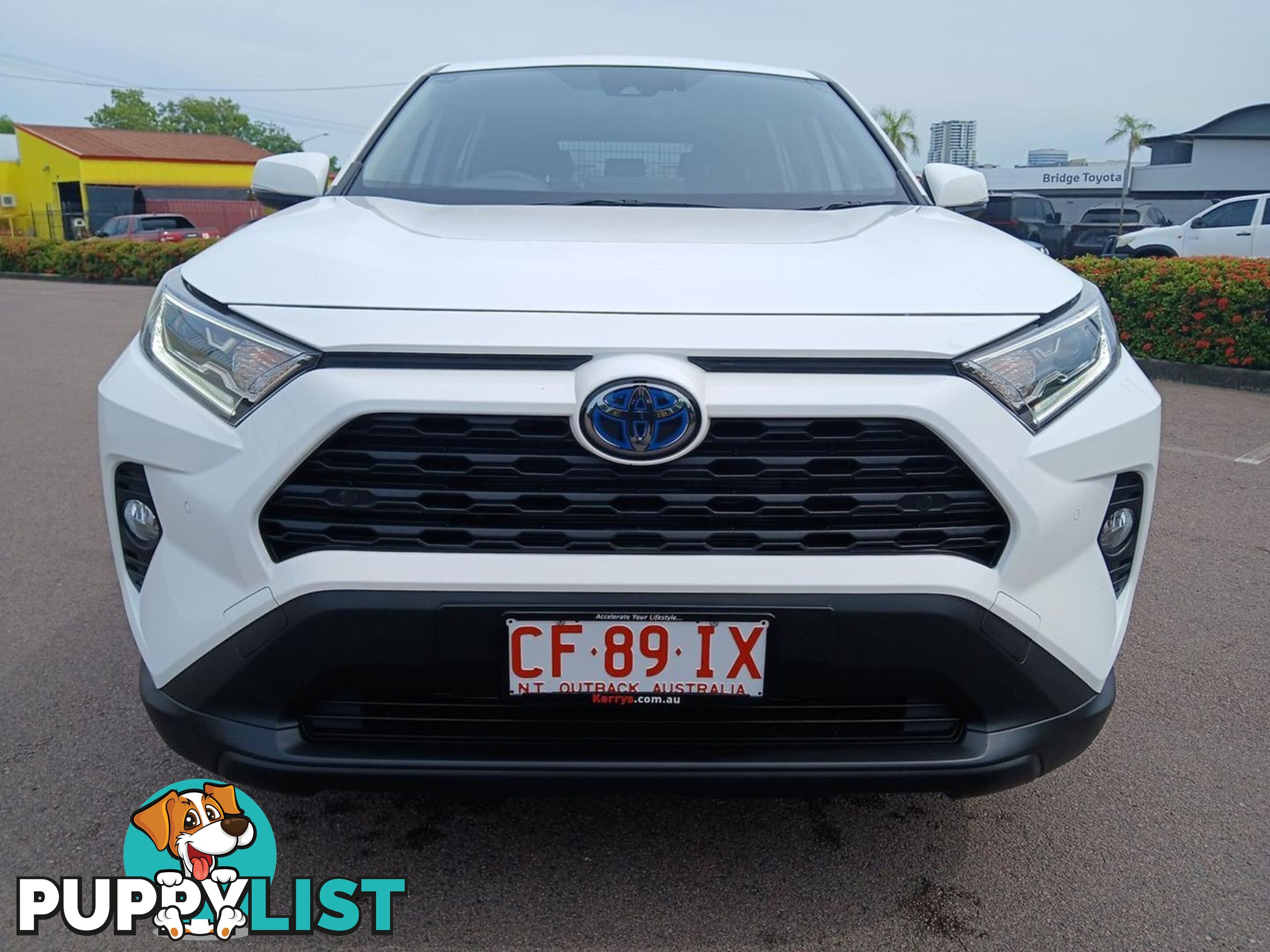 2019 TOYOTA RAV4 GX AXAH52R SUV