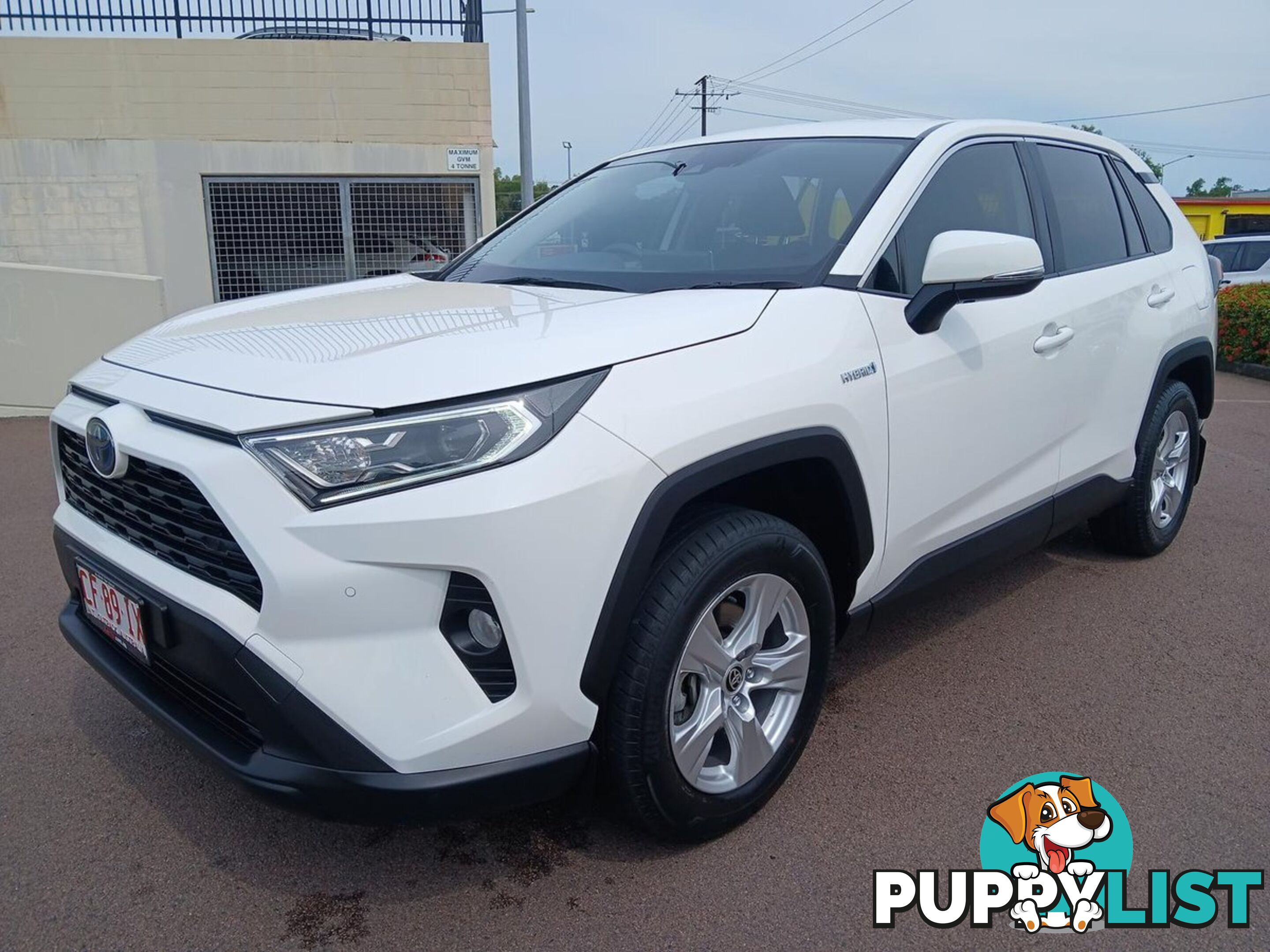 2019 TOYOTA RAV4 GX AXAH52R SUV