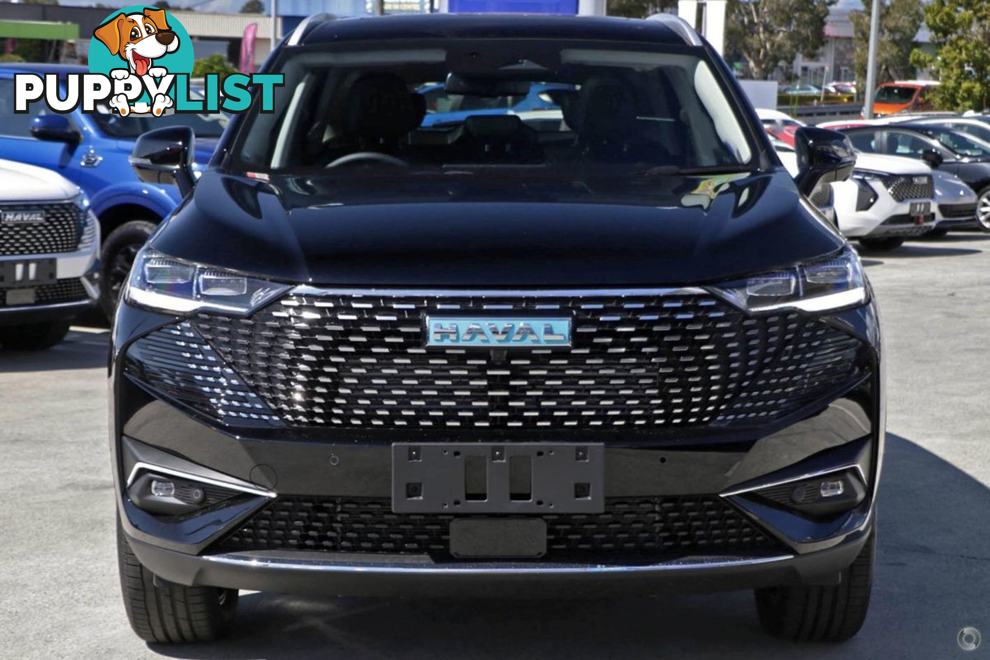 2024 GWM HAVAL-H6 ULTRA-HYBRID B01 SUV