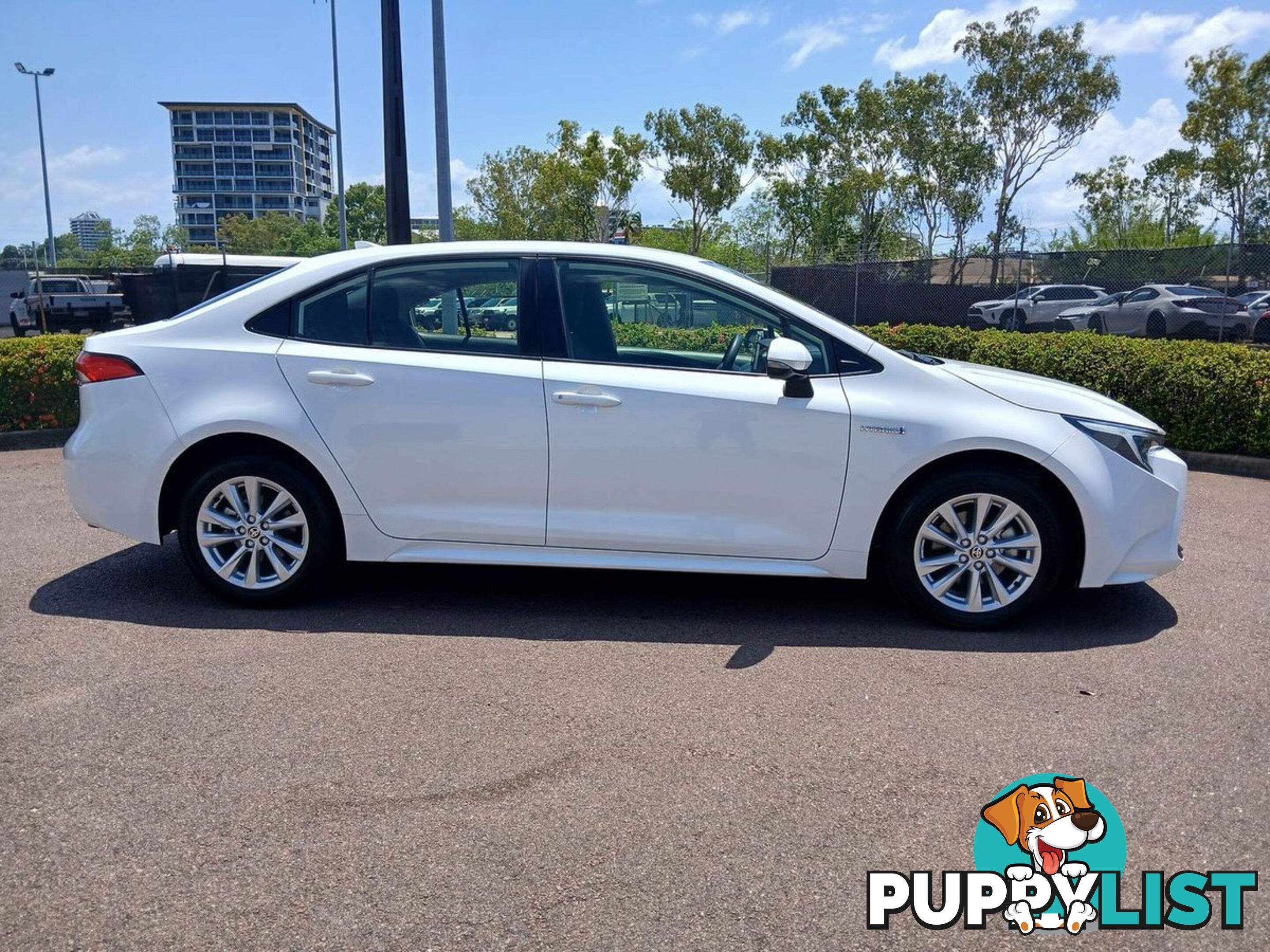 2023 TOYOTA COROLLA ASCENT-SPORT-HYBRID ZWE219R SEDAN