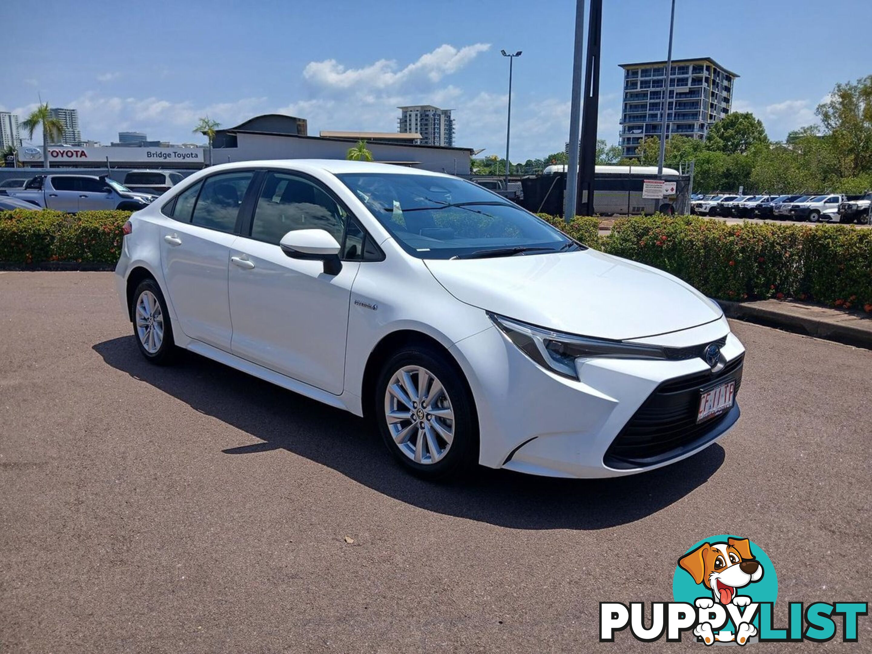 2023 TOYOTA COROLLA ASCENT-SPORT-HYBRID ZWE219R SEDAN