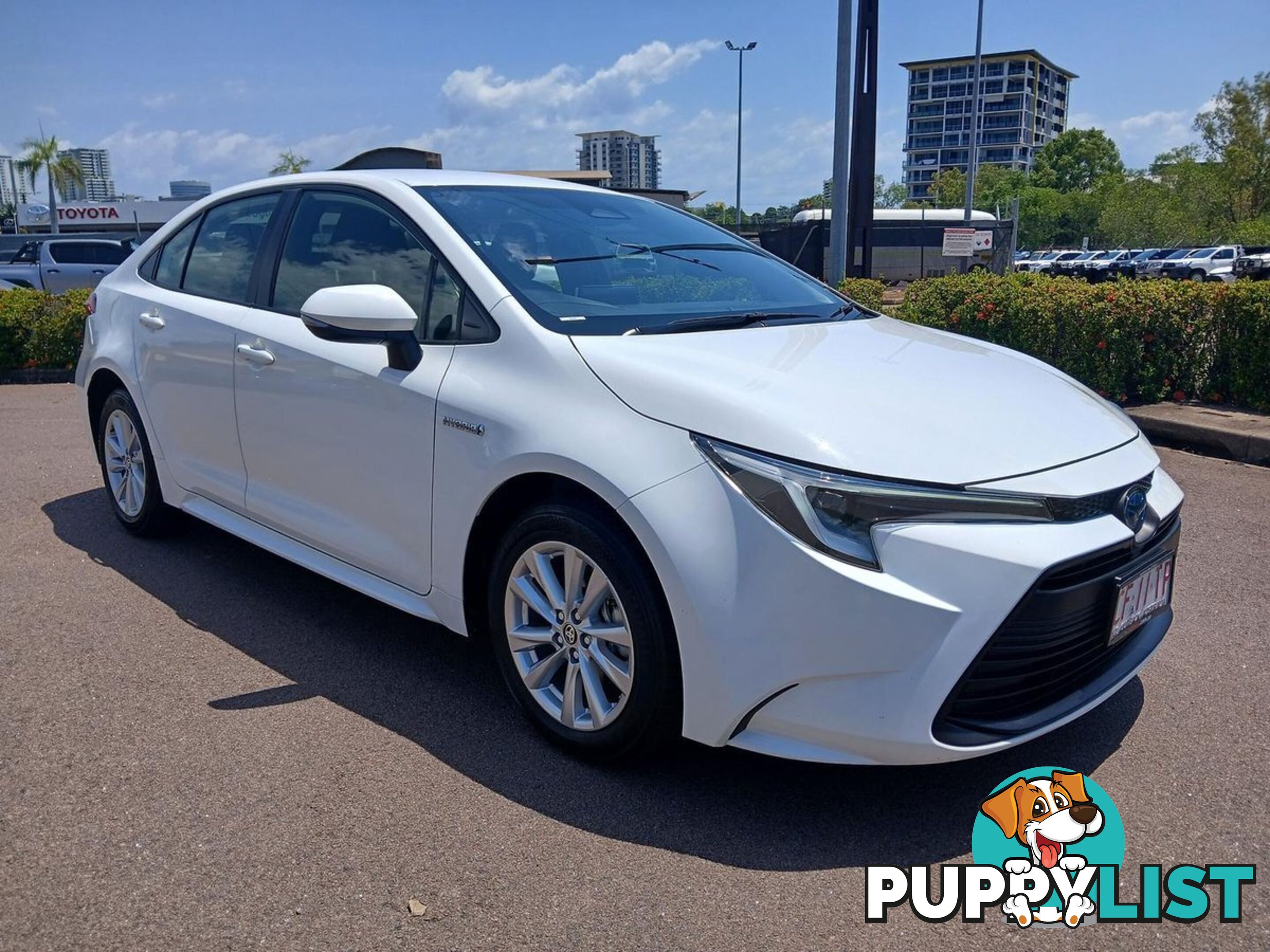 2023 TOYOTA COROLLA ASCENT-SPORT-HYBRID ZWE219R SEDAN