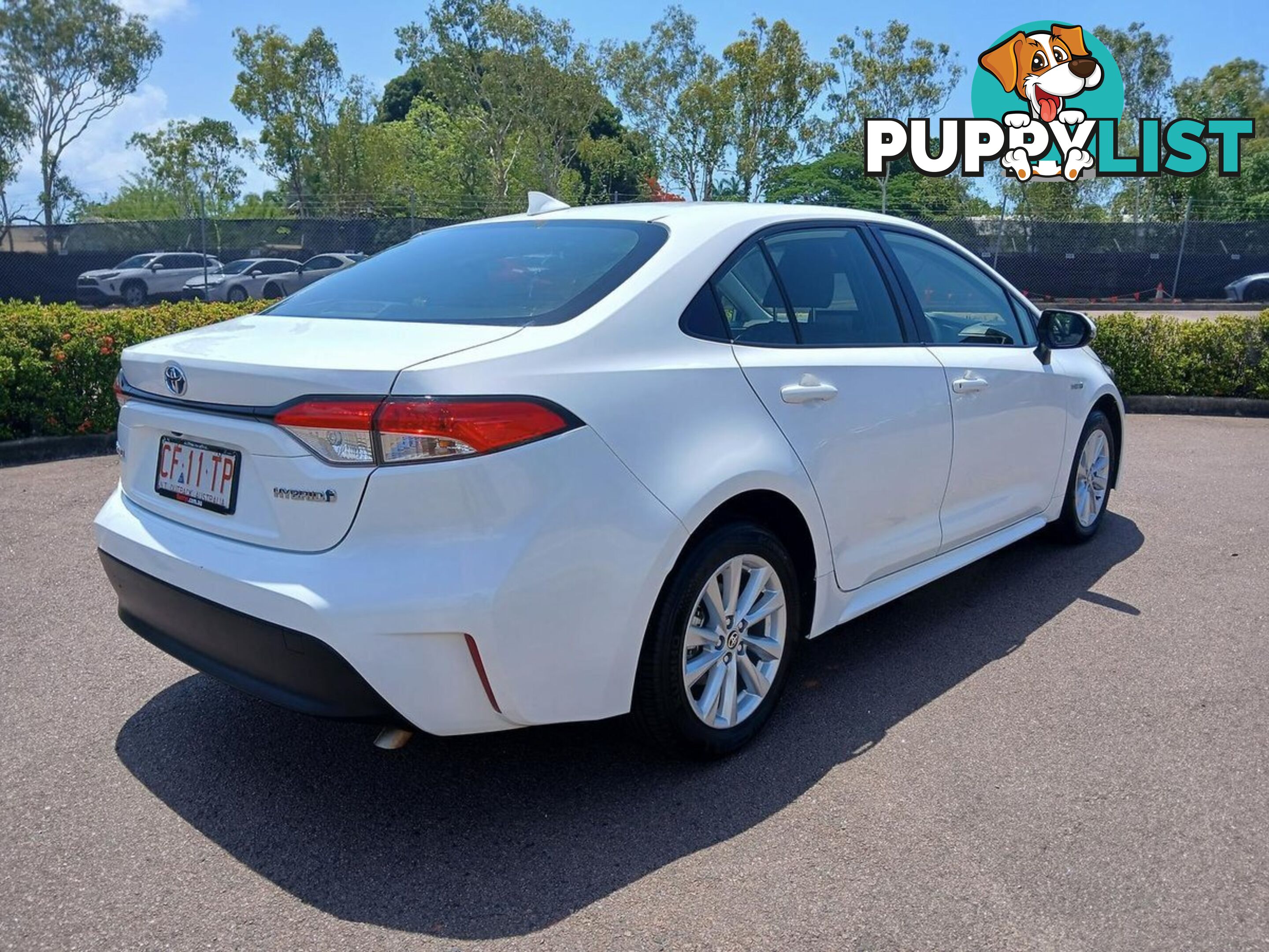 2023 TOYOTA COROLLA ASCENT-SPORT-HYBRID ZWE219R SEDAN