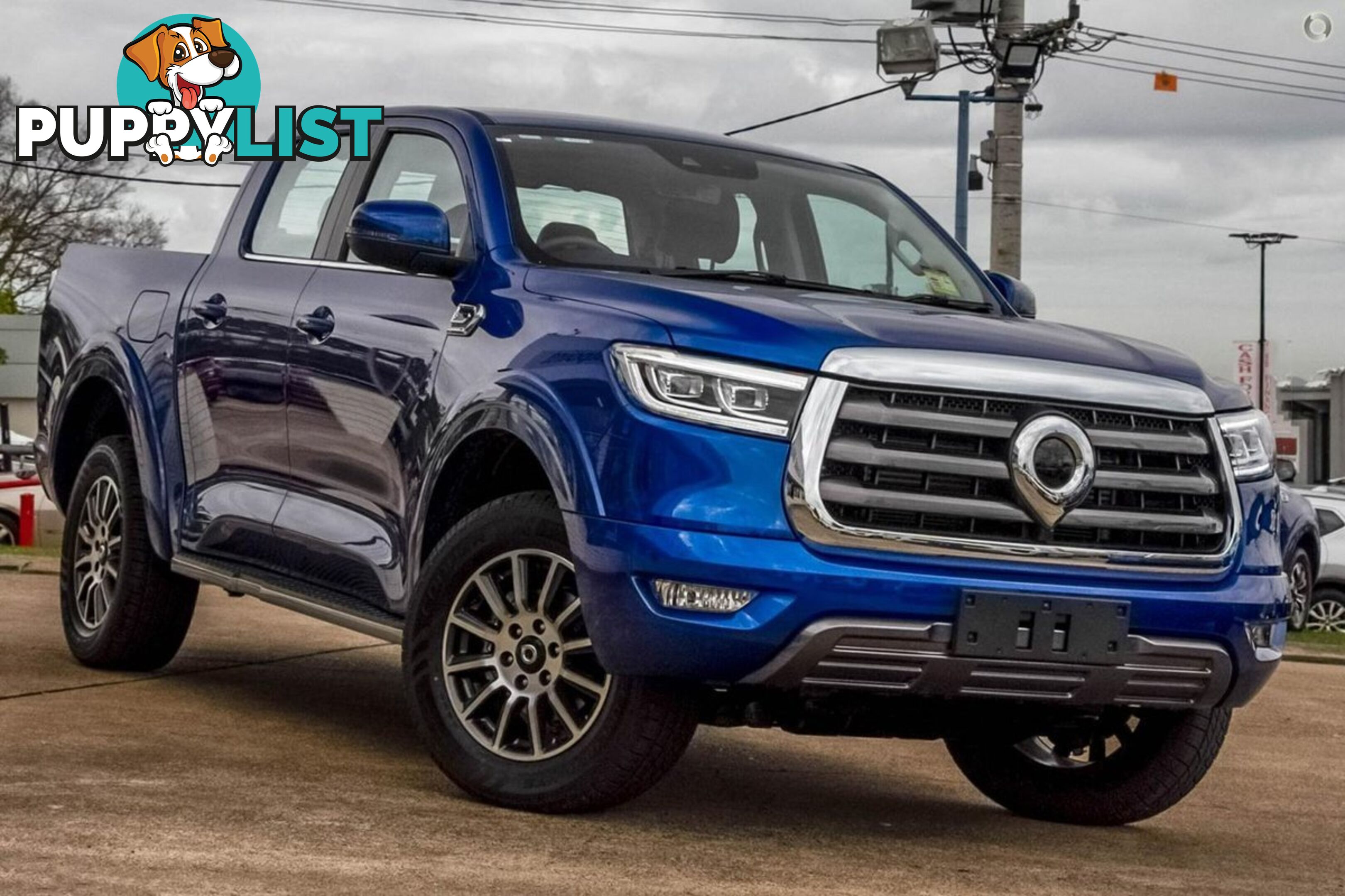 2024 GWM UTE CANNON NPW-4X4 DUAL CAB UTILITY