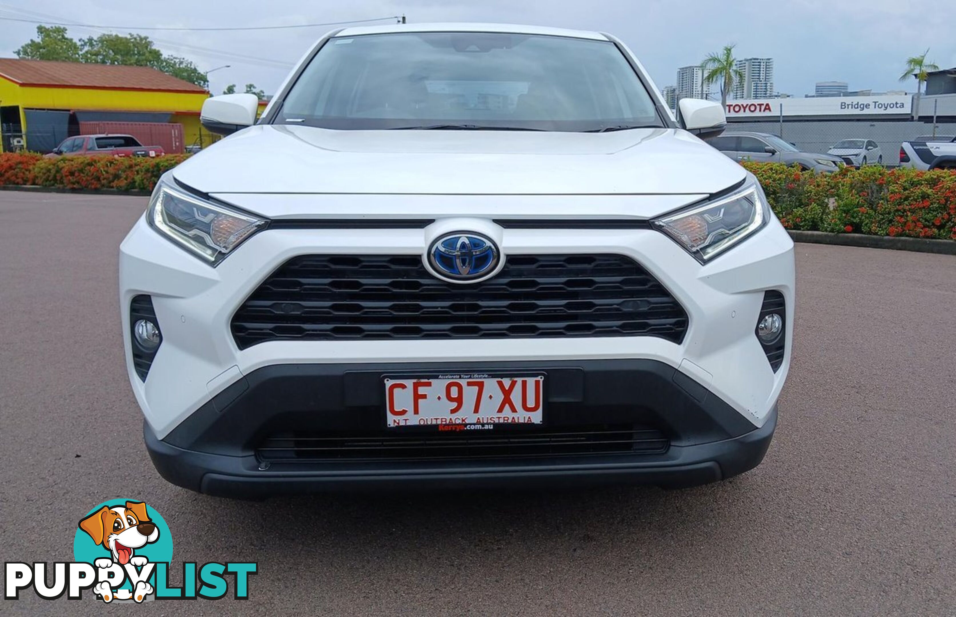 2020 TOYOTA RAV4 GX AXAH52R SUV