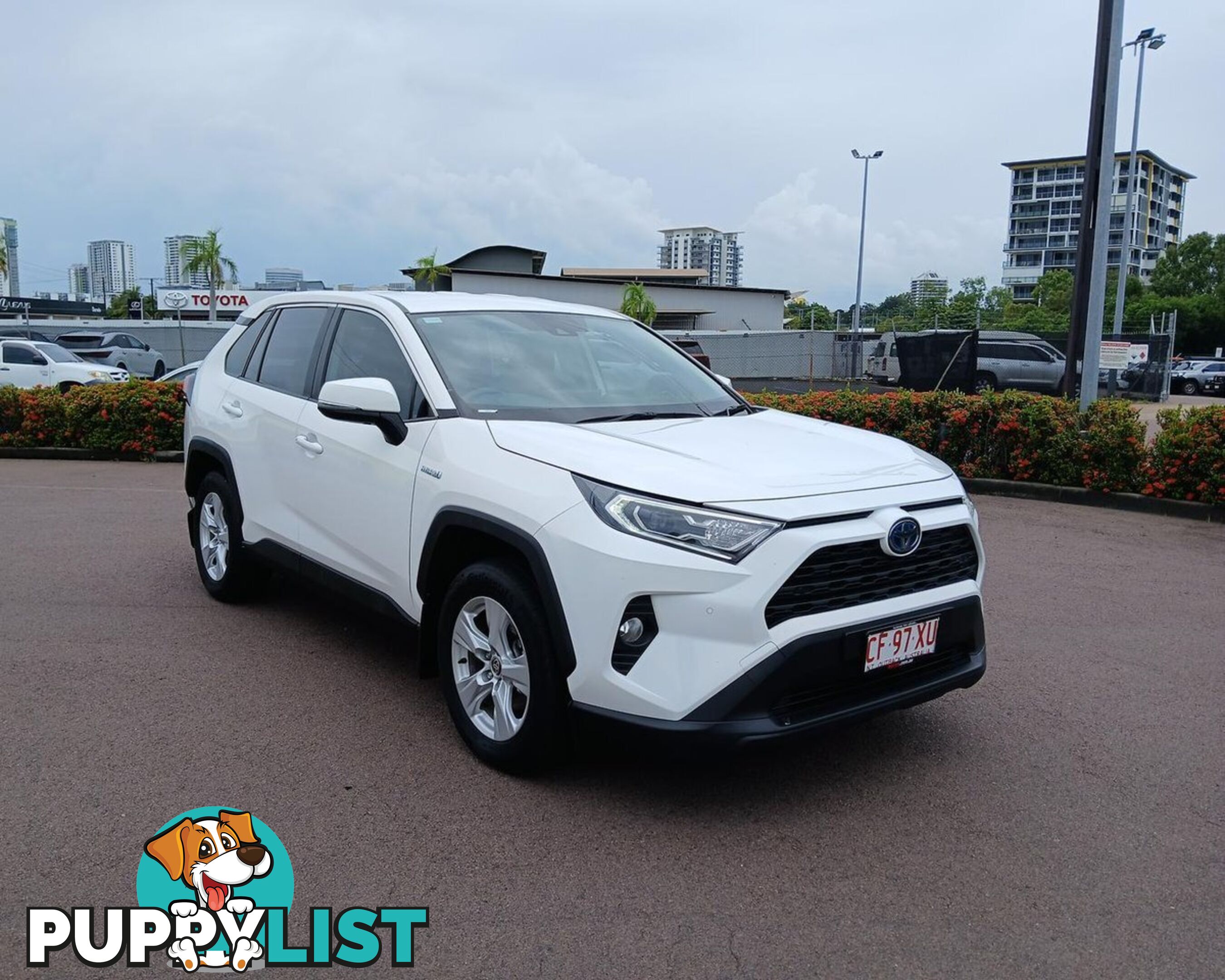 2020 TOYOTA RAV4 GX AXAH52R SUV