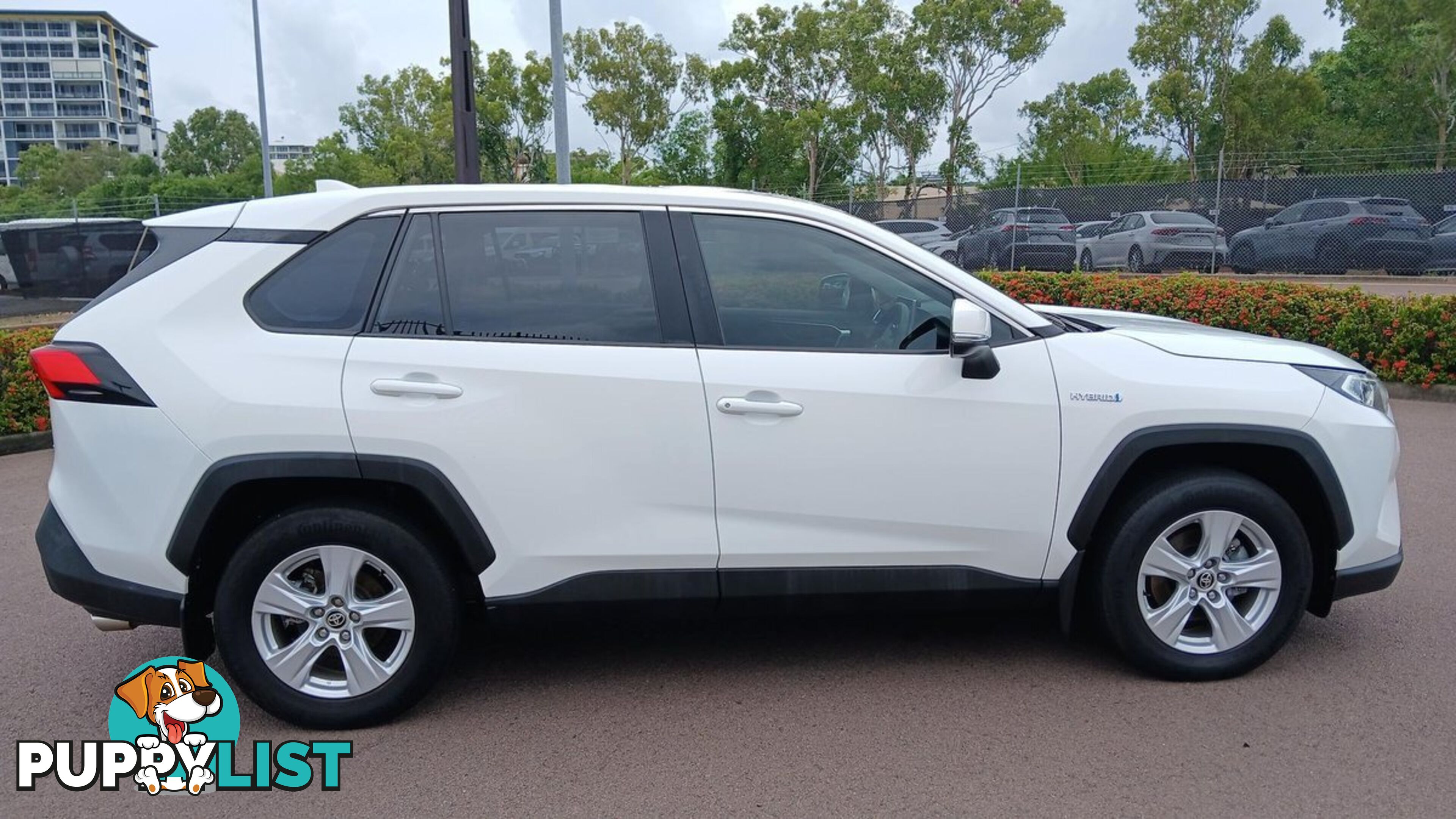 2020 TOYOTA RAV4 GX AXAH52R SUV