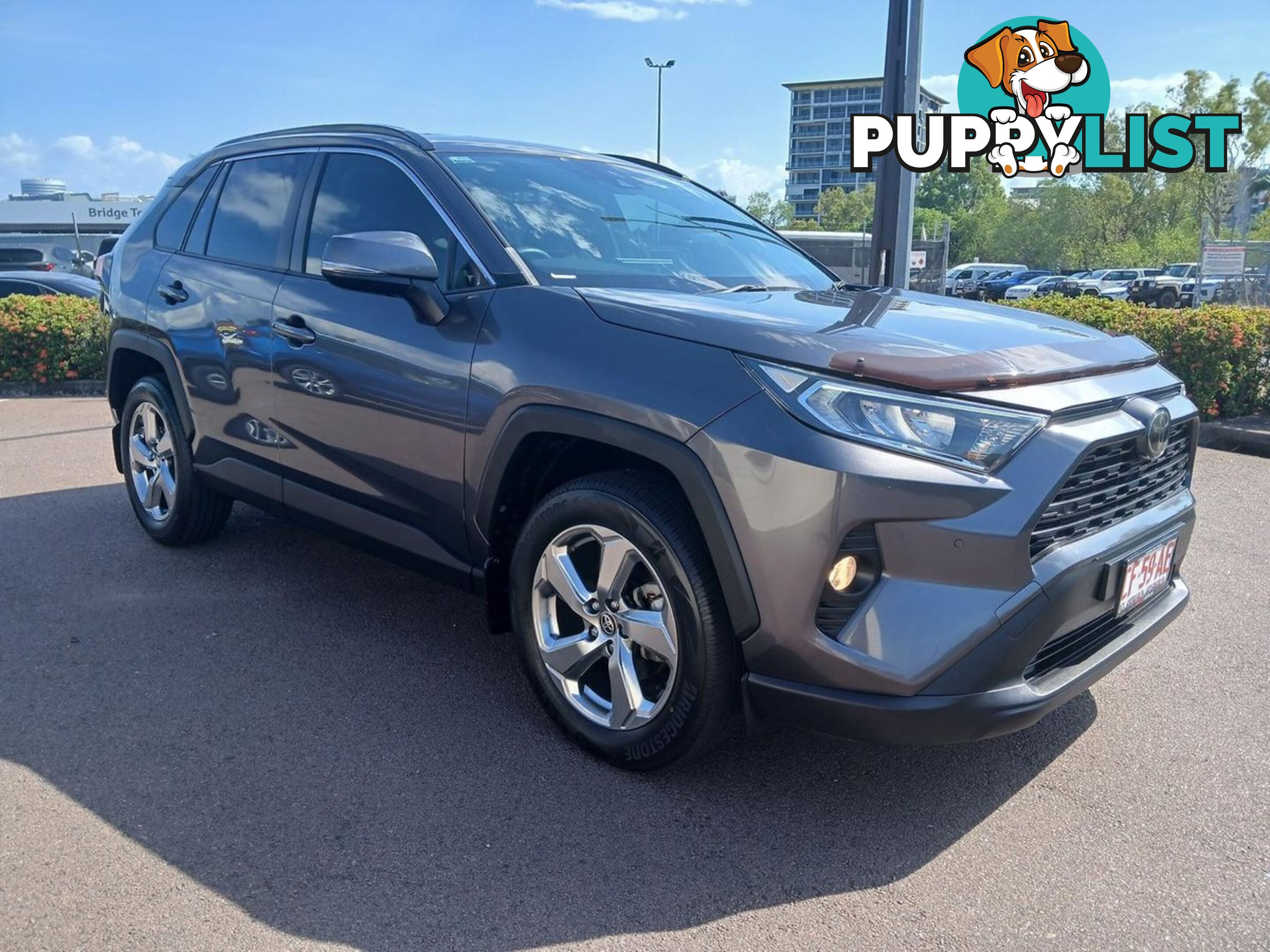 2019 TOYOTA RAV4 GXL MXAA52R SUV