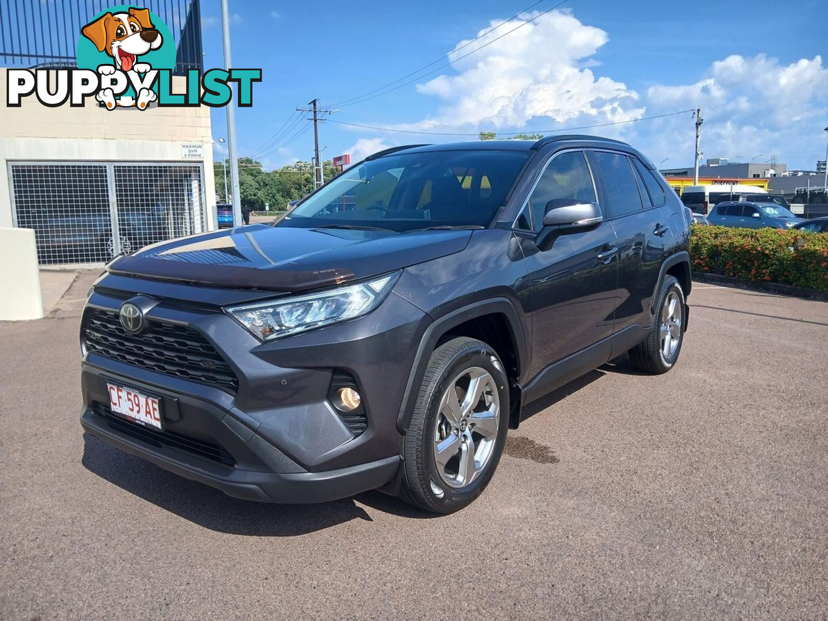 2019 TOYOTA RAV4 GXL MXAA52R SUV