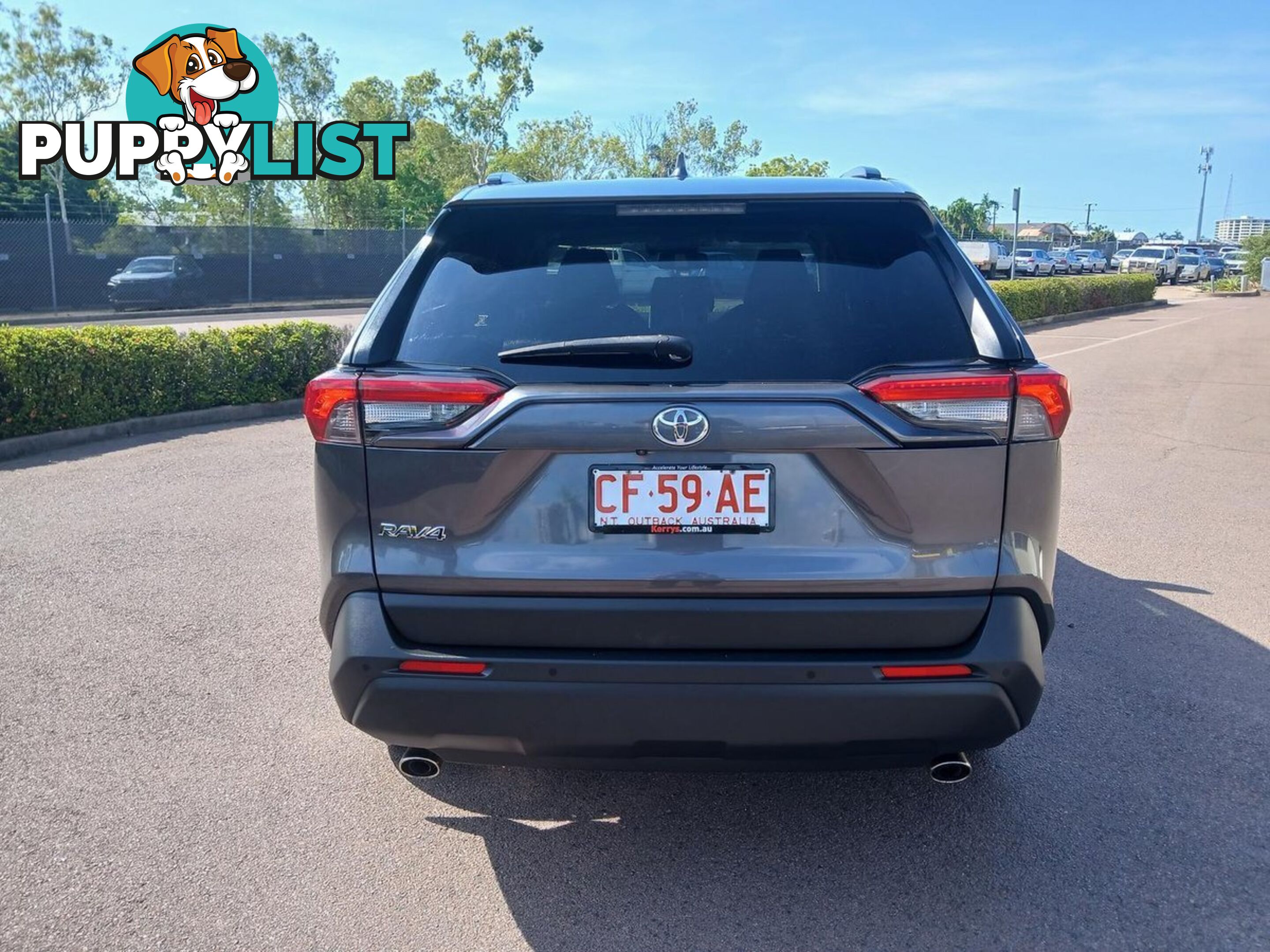 2019 TOYOTA RAV4 GXL MXAA52R SUV