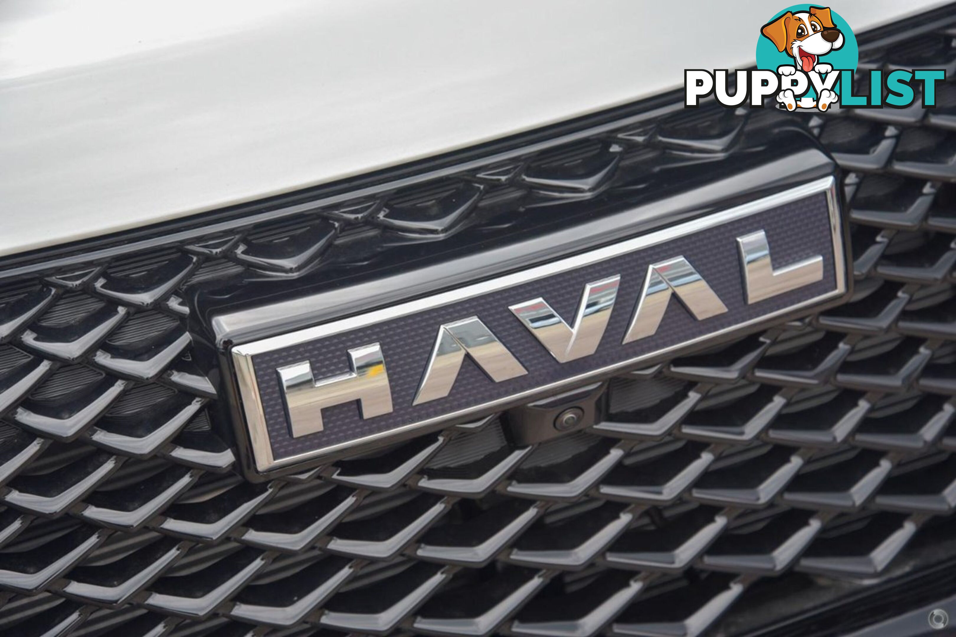 2025 GWM HAVAL-H6 VANTA B01 SUV