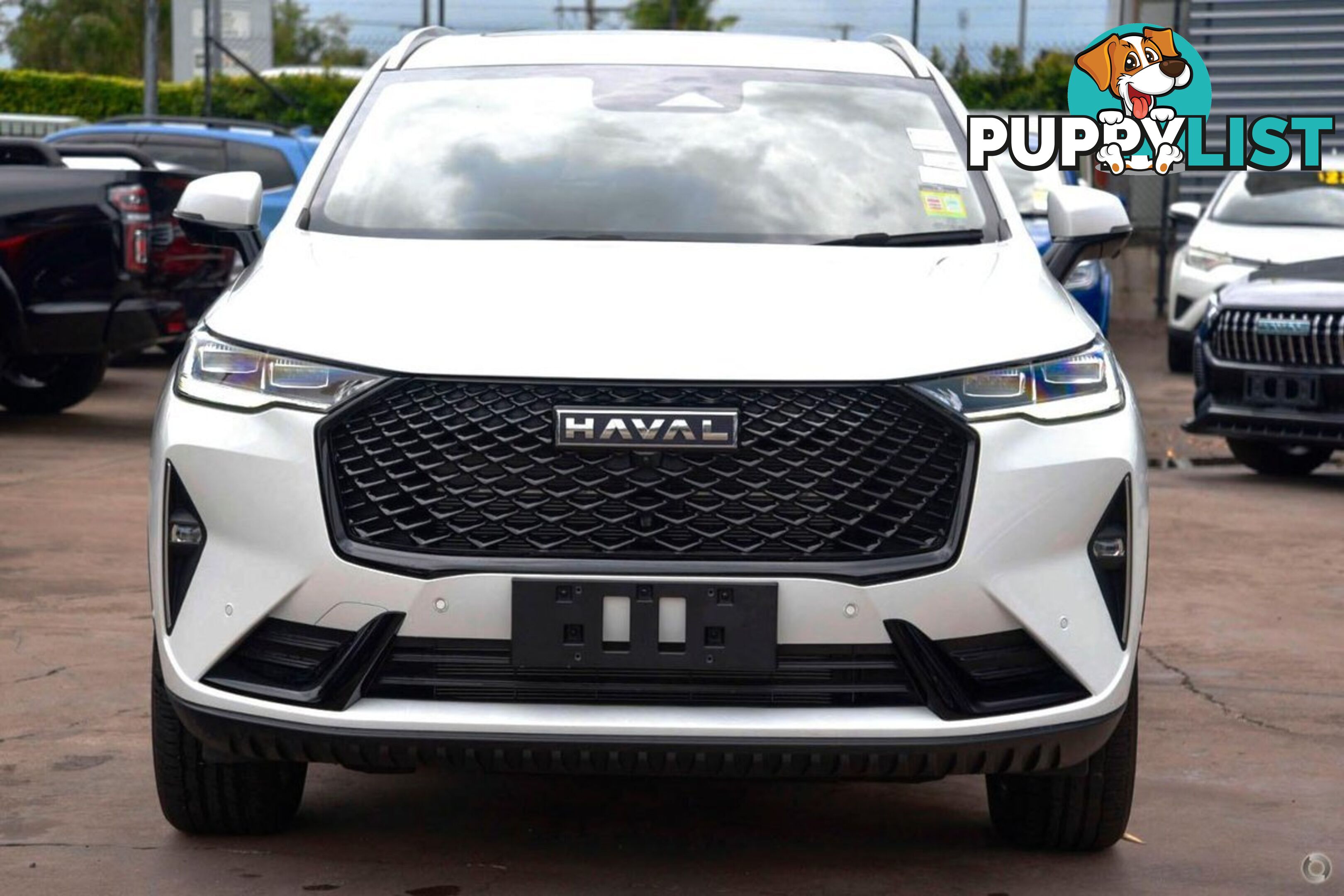 2025 GWM HAVAL-H6 VANTA B01 SUV