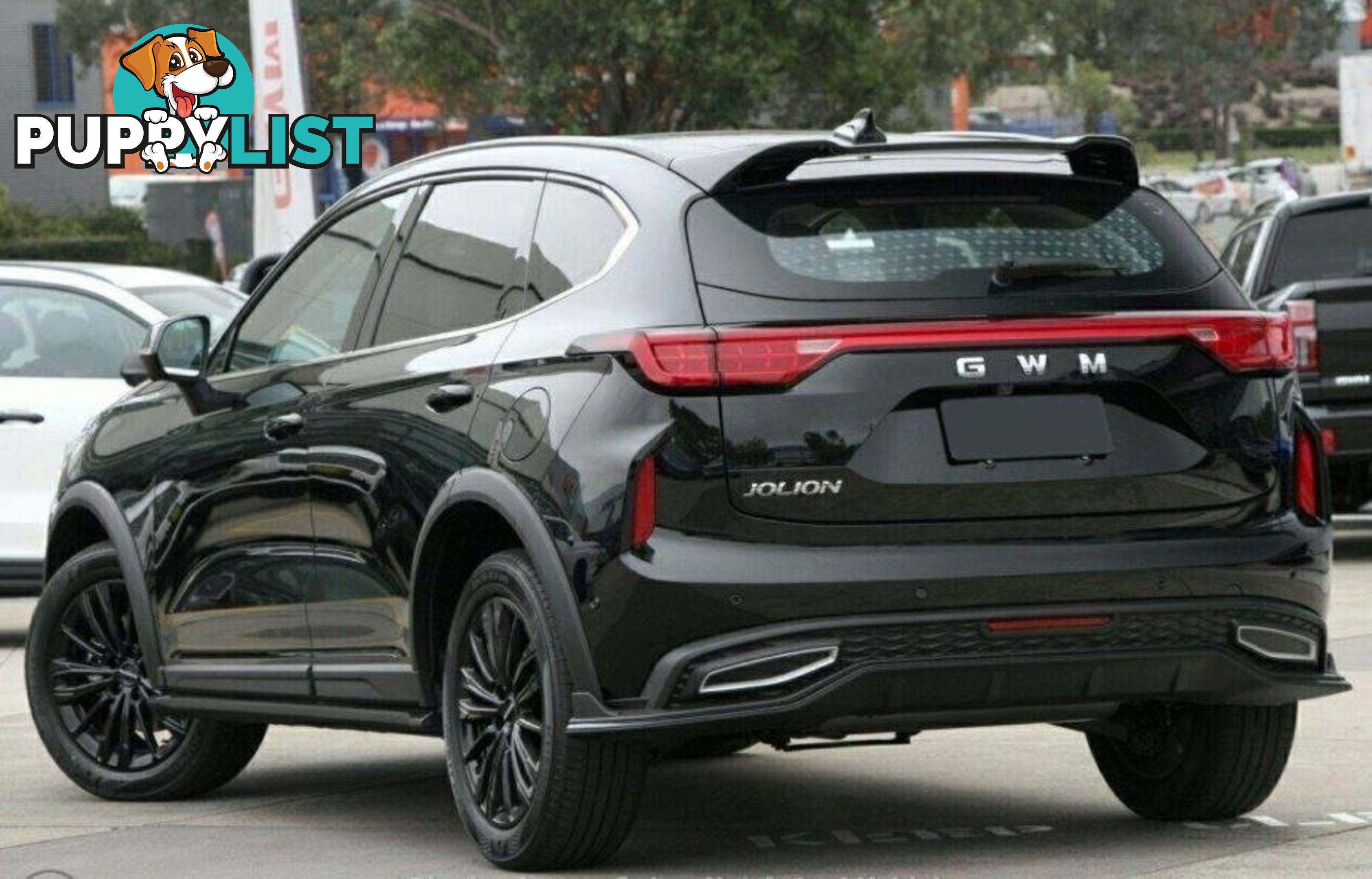 2024 GWM HAVAL-JOLION ULTRA A02 SUV