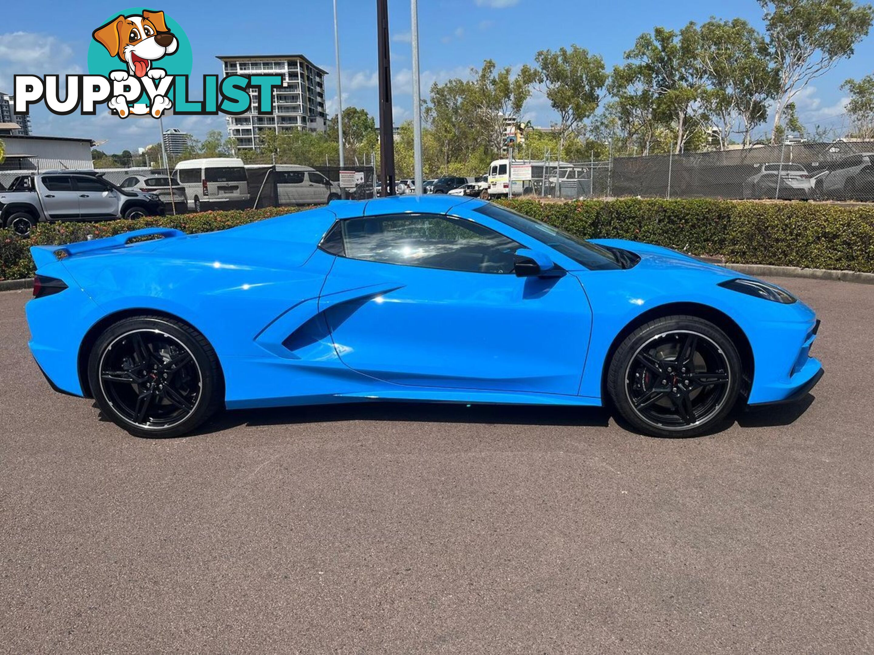 2024 CHEVROLET CORVETTE STINGRAY-3LT C8-MY24 CONVERTIBLE